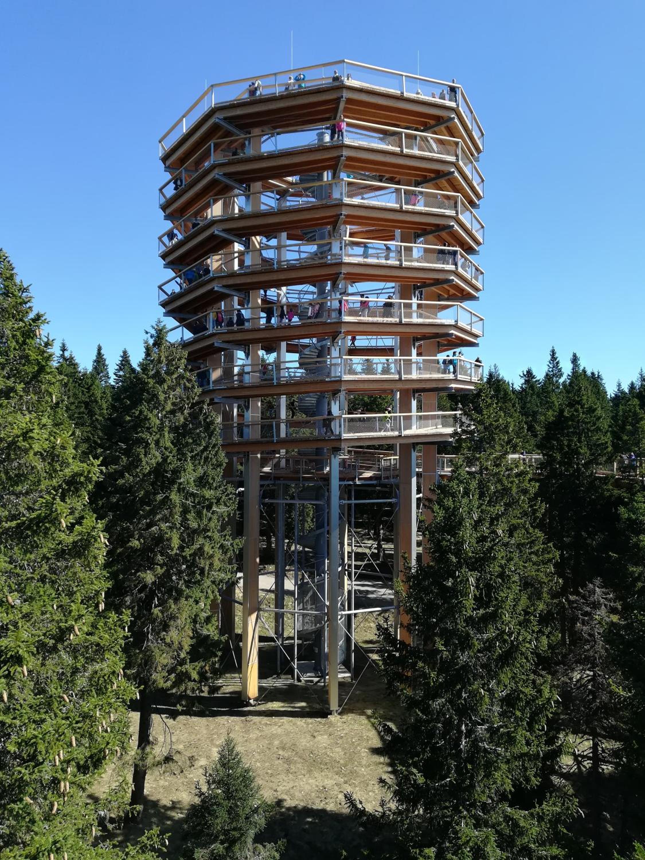 Apartma Borovnica Rogla view 4