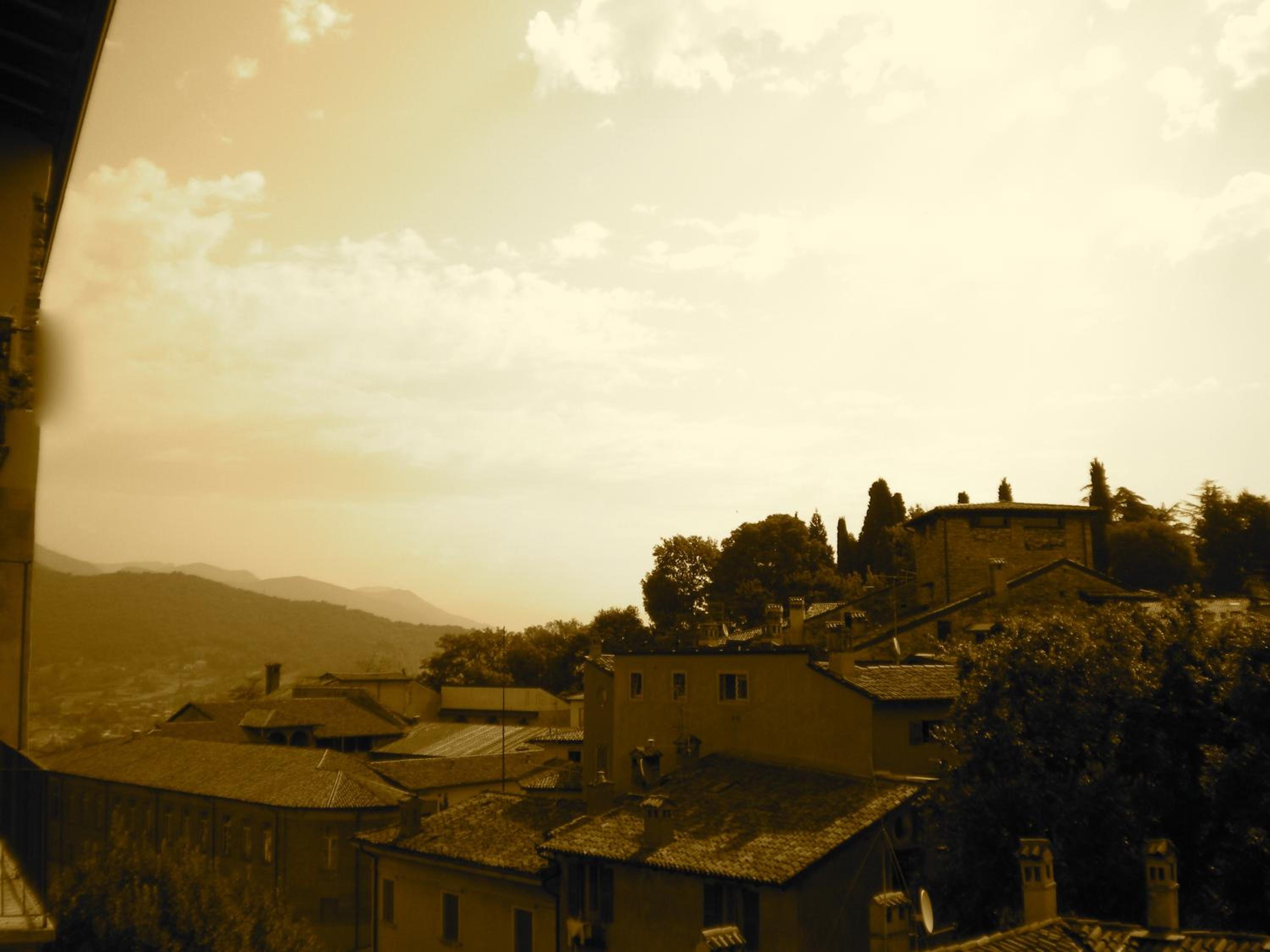 La Torta Di Mele photo 5