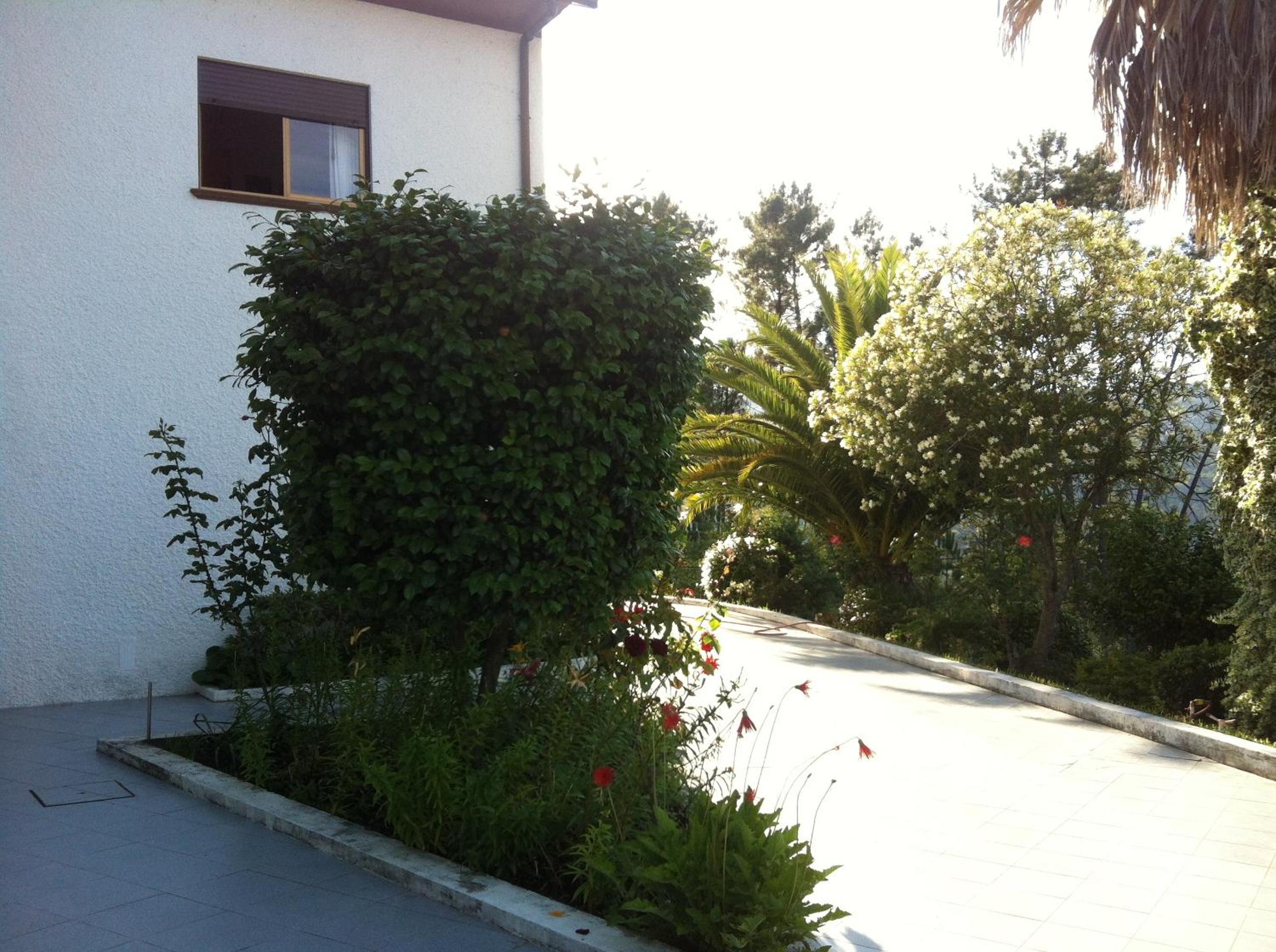 Photo 194