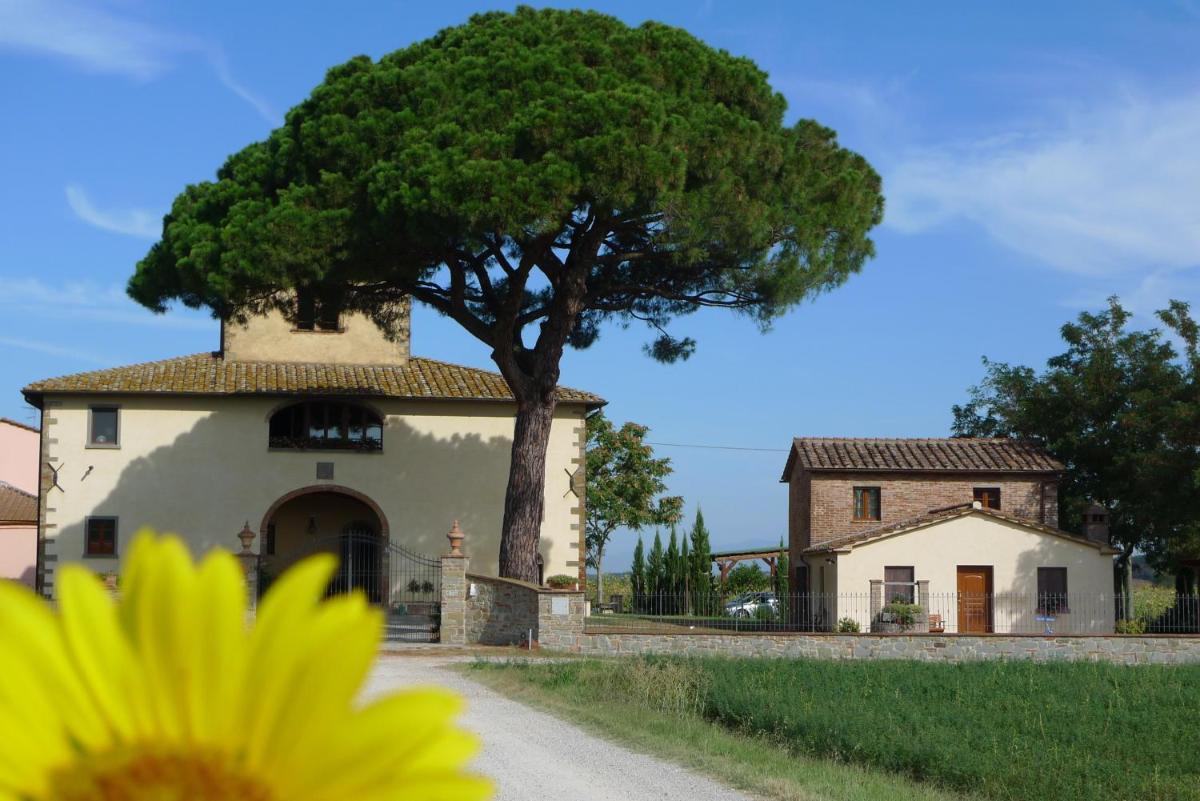 La Leopoldina dei Fabbri view 2