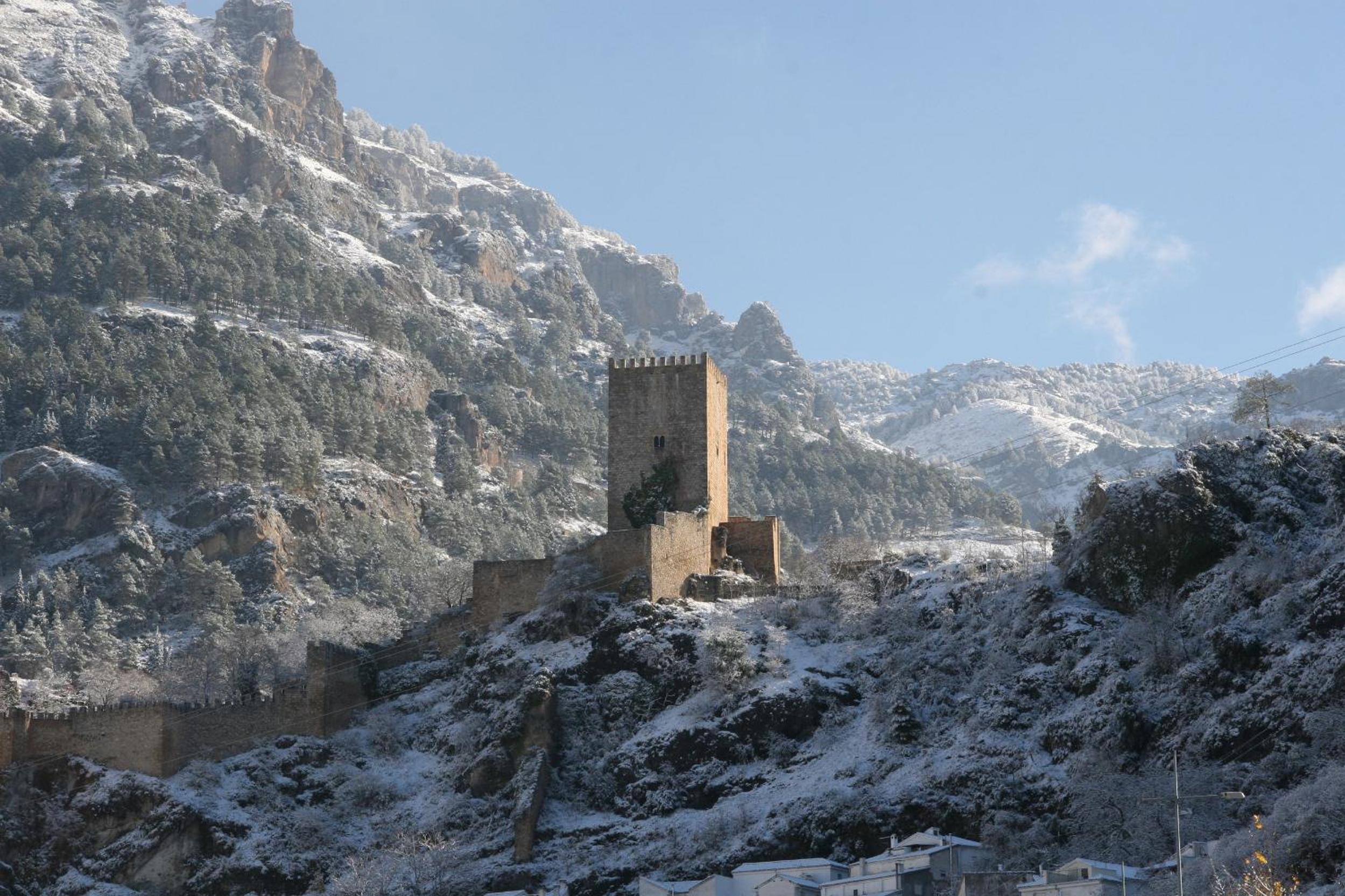 Photo 11