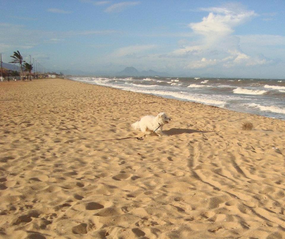 CASA DE PRAIA - Verão Vermelho I - Cabo Frio - Unamar
