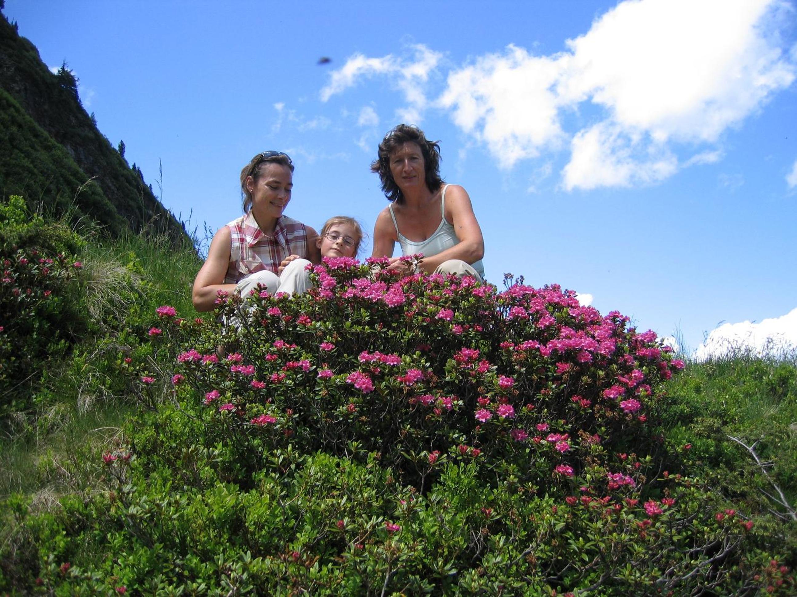 Bauernhof Haim-Schnepfleitner