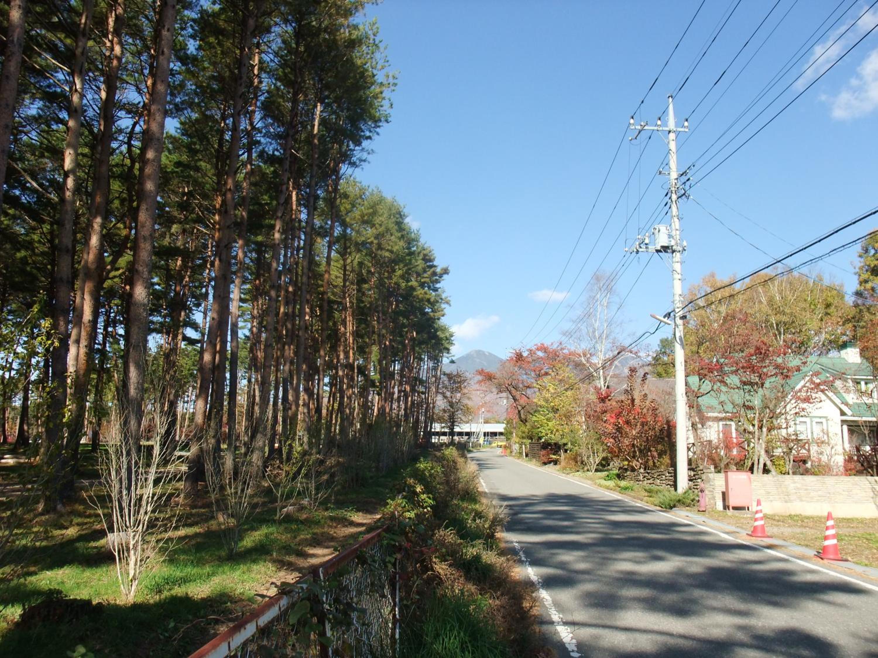 Photo 22