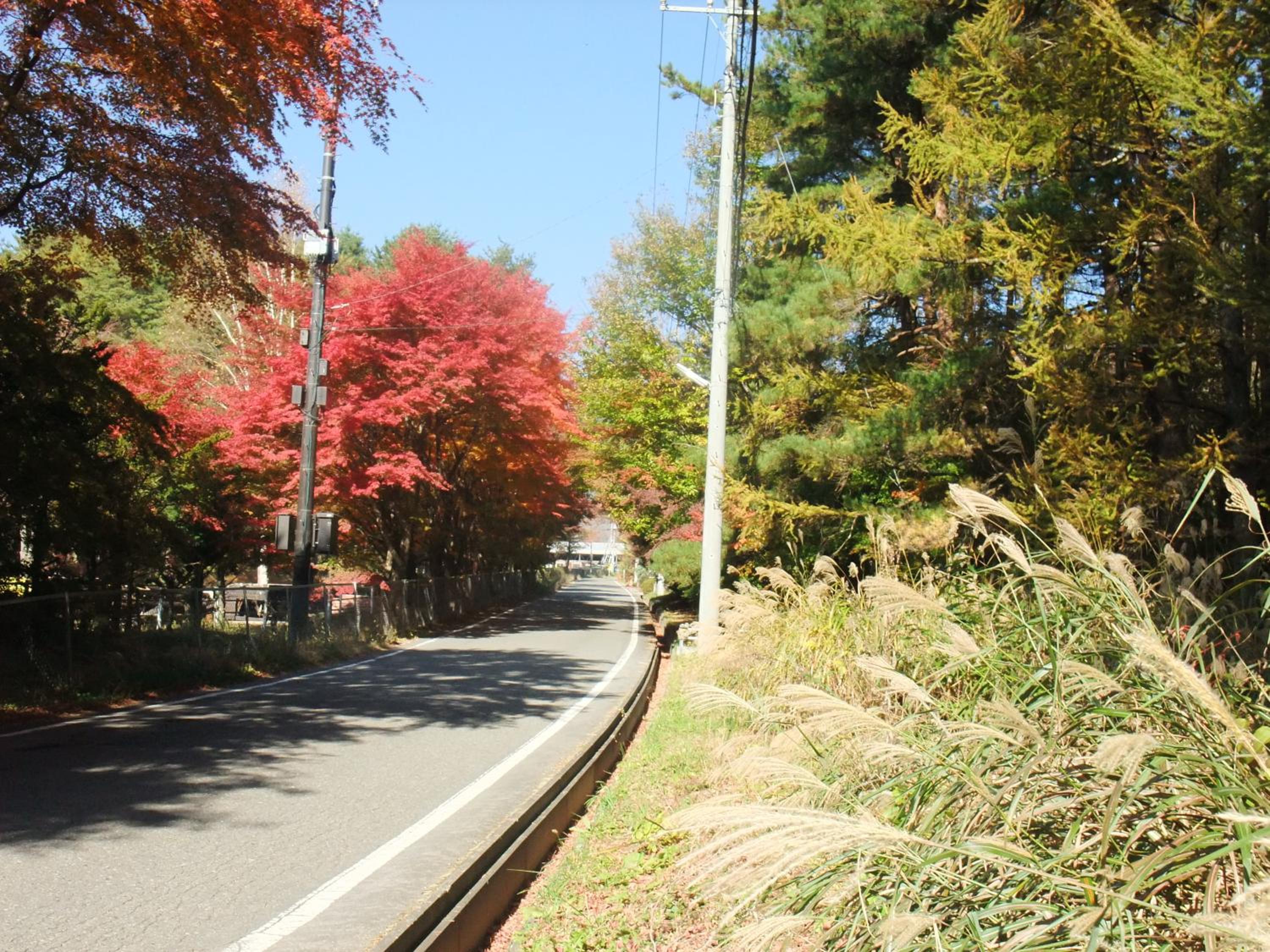 Photo 21