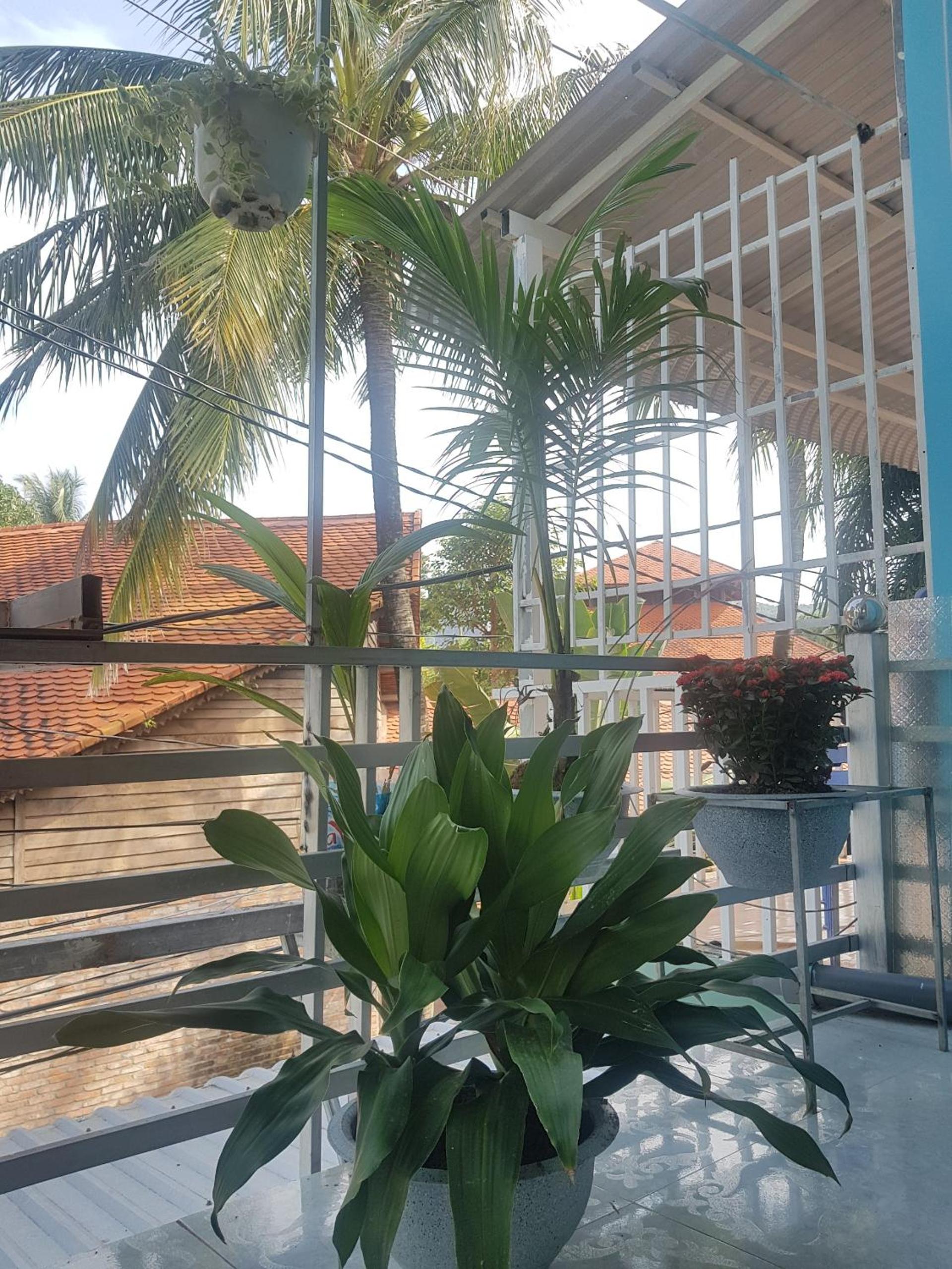 Tai Tri Guest House