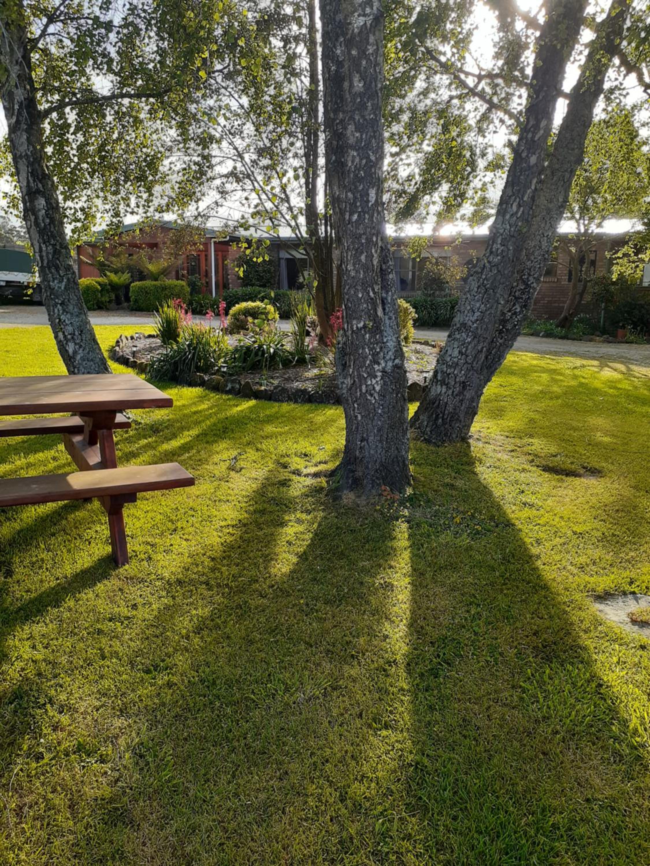 Photo 20