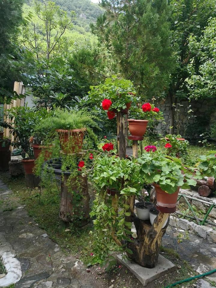 Pensiunea Casa Montana view 3