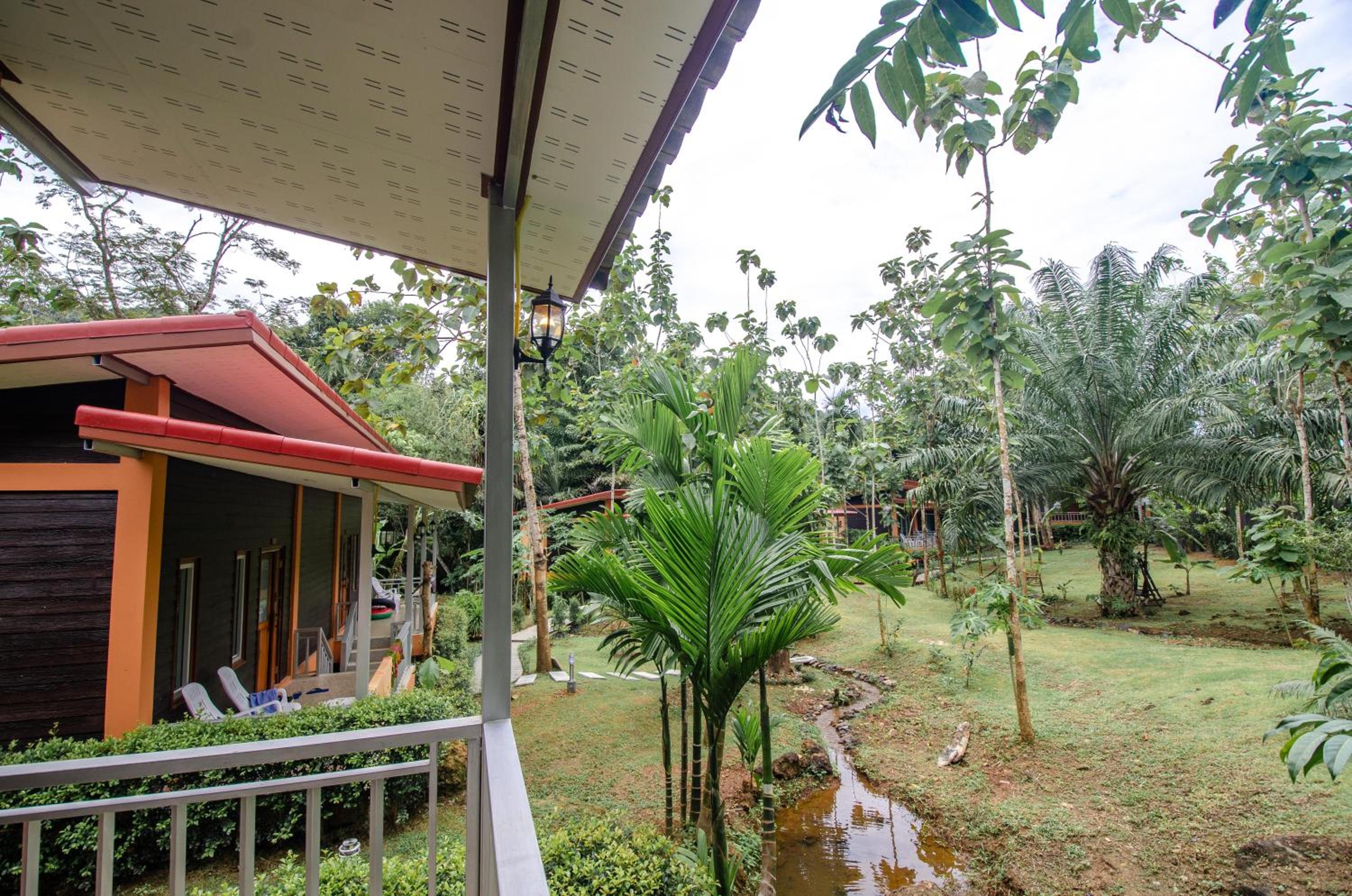 Photo 12