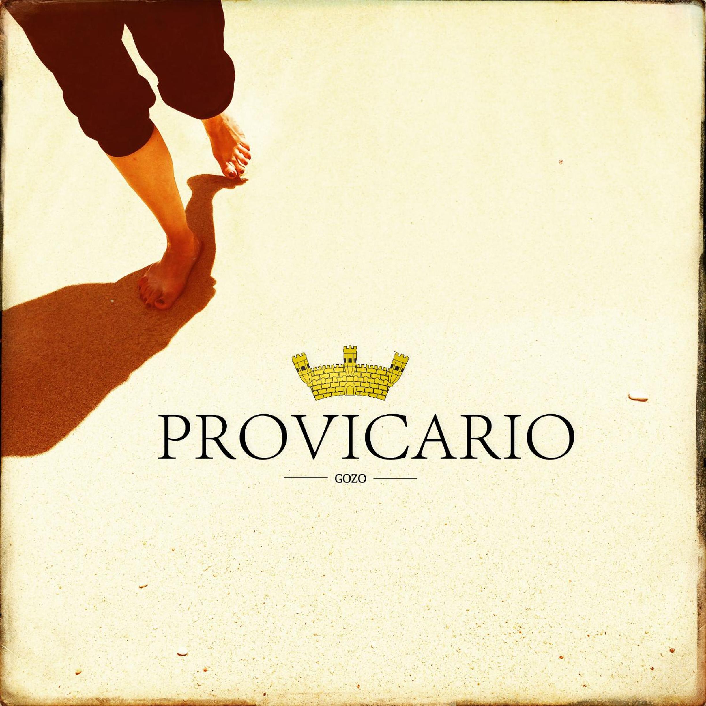 Provicario photo 3