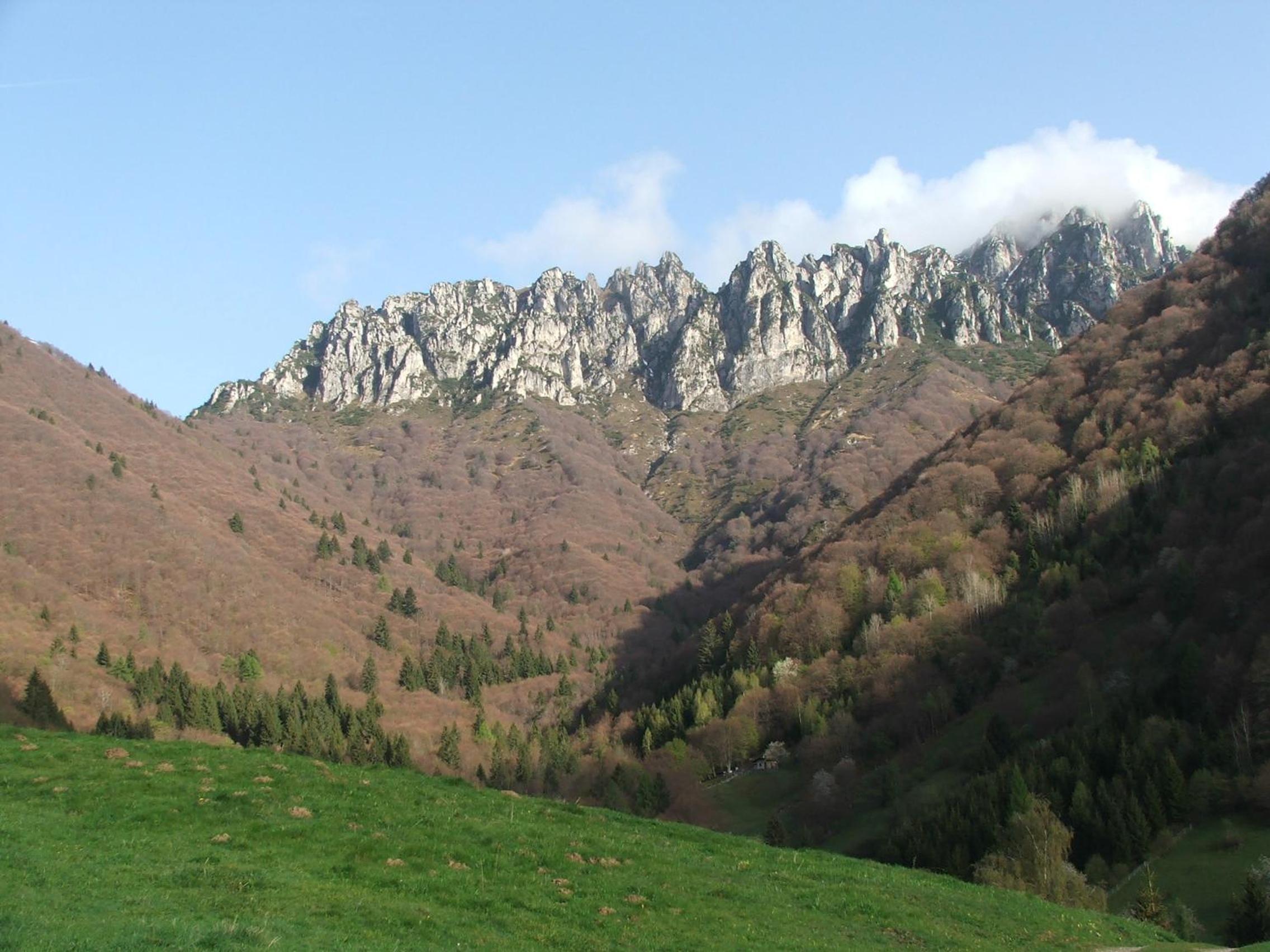 Photo 28
