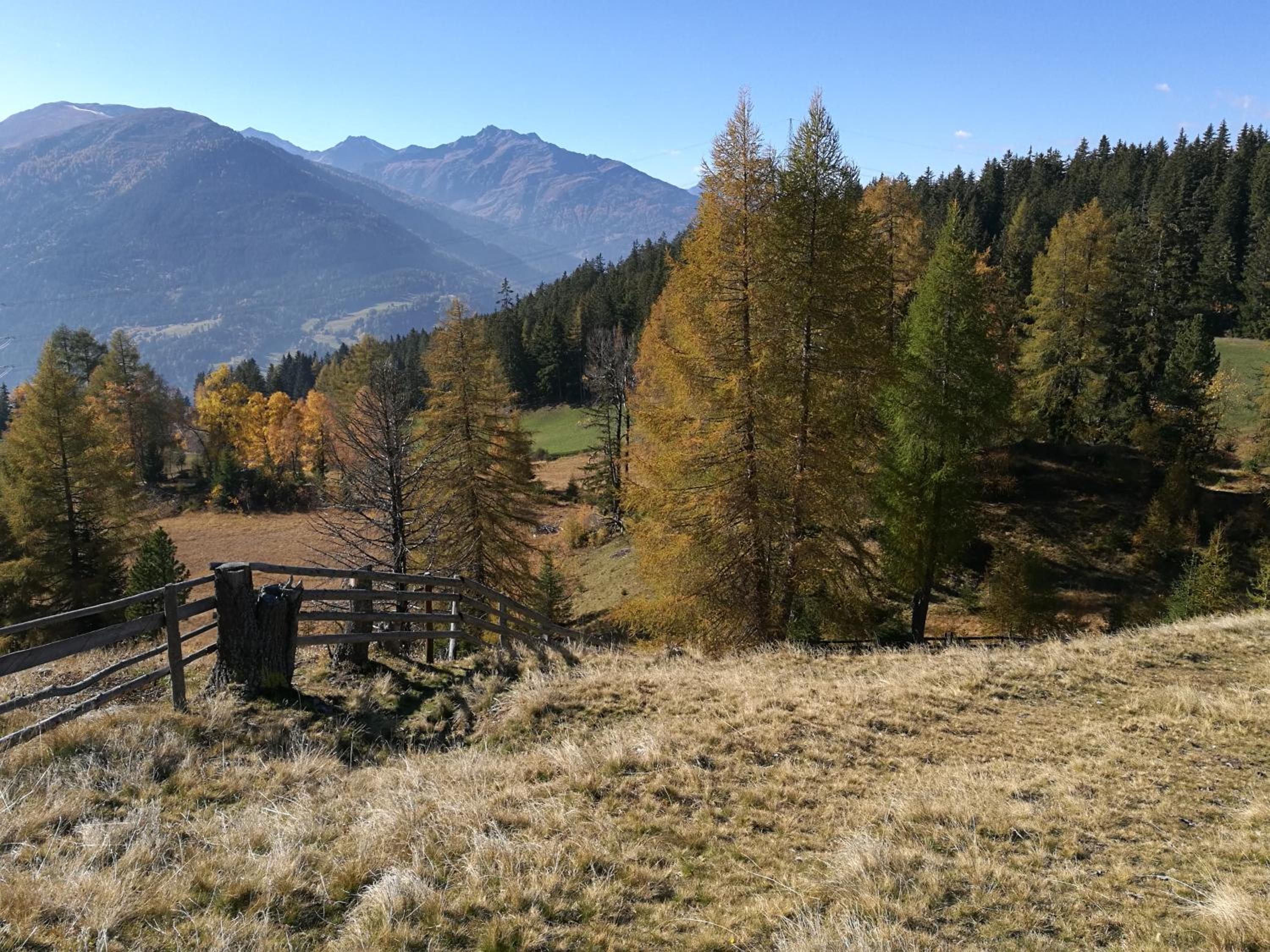 Photo 20