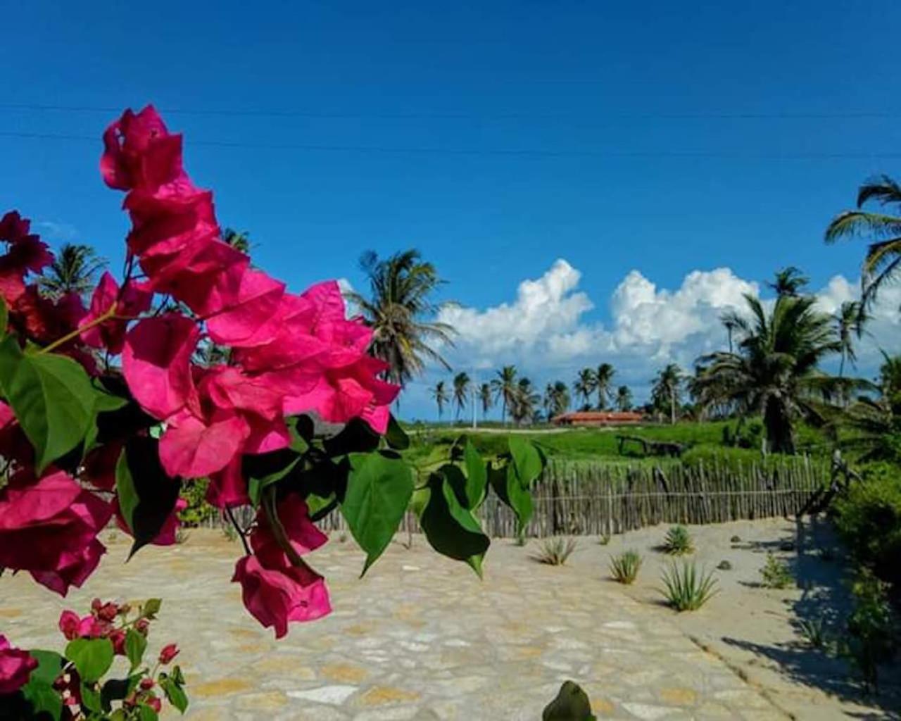 POUSADA CHALÉ PARAÍSO - Icapui
