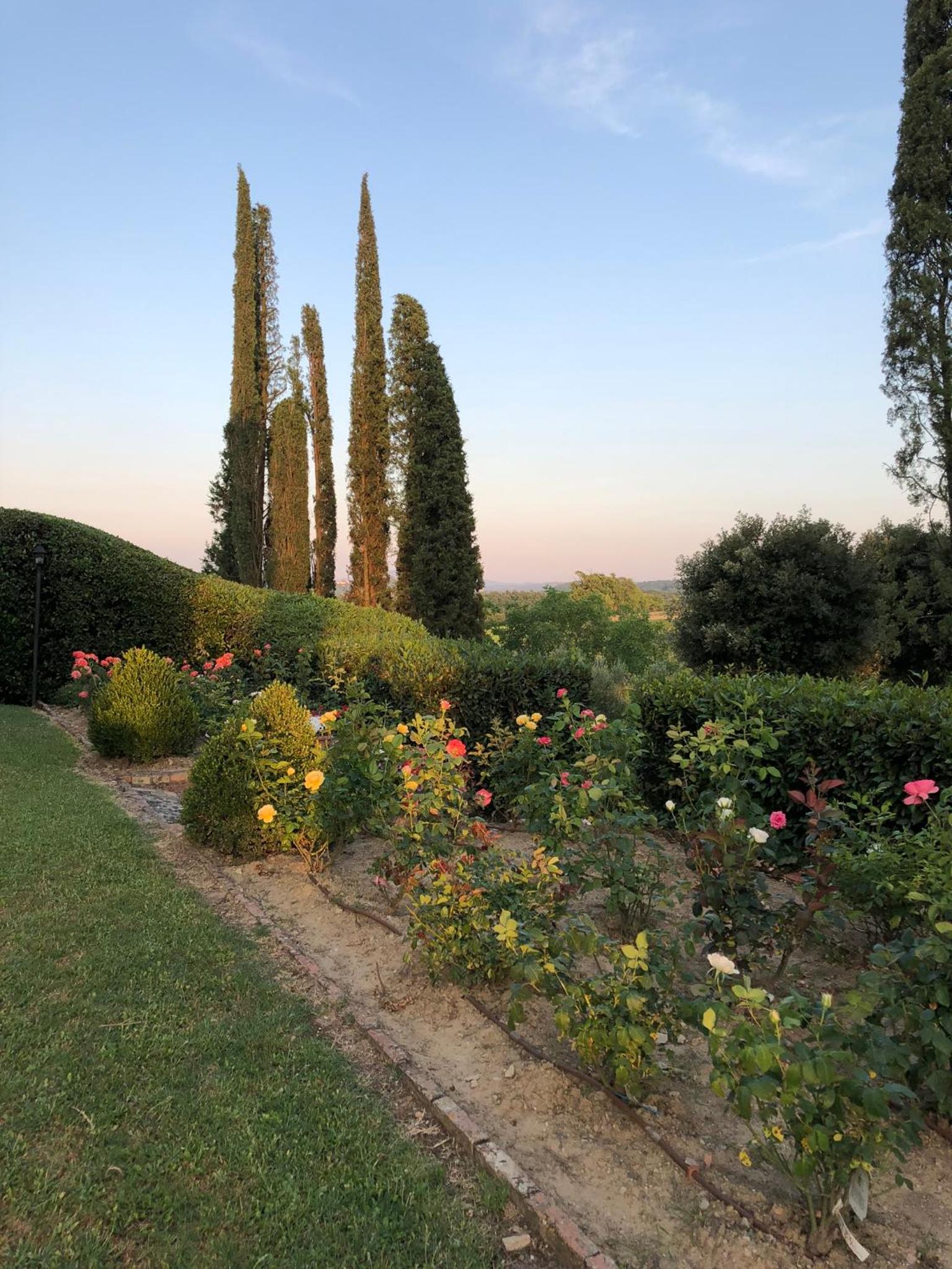 Agriturismo Macciangrosso Casale Piccolomini view 5