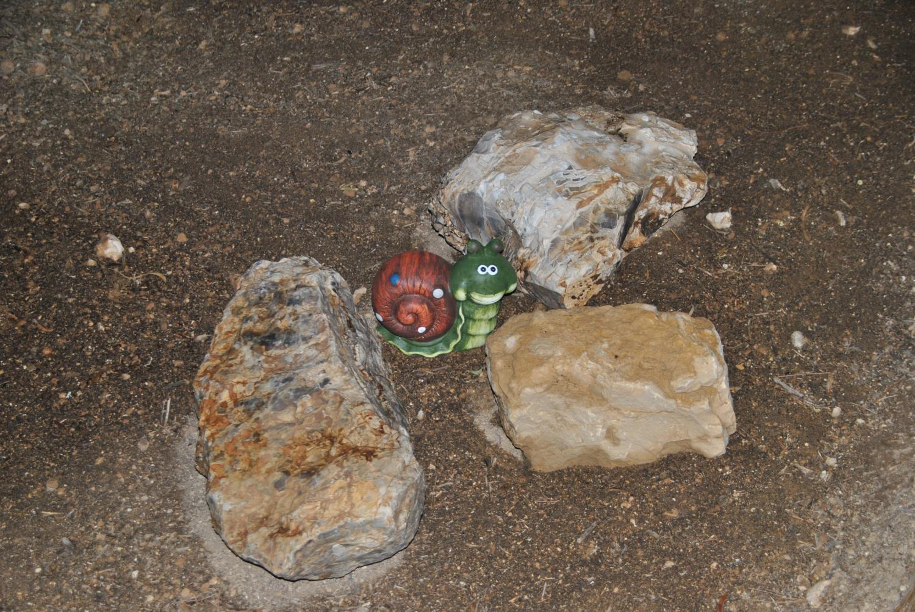 Photo 27