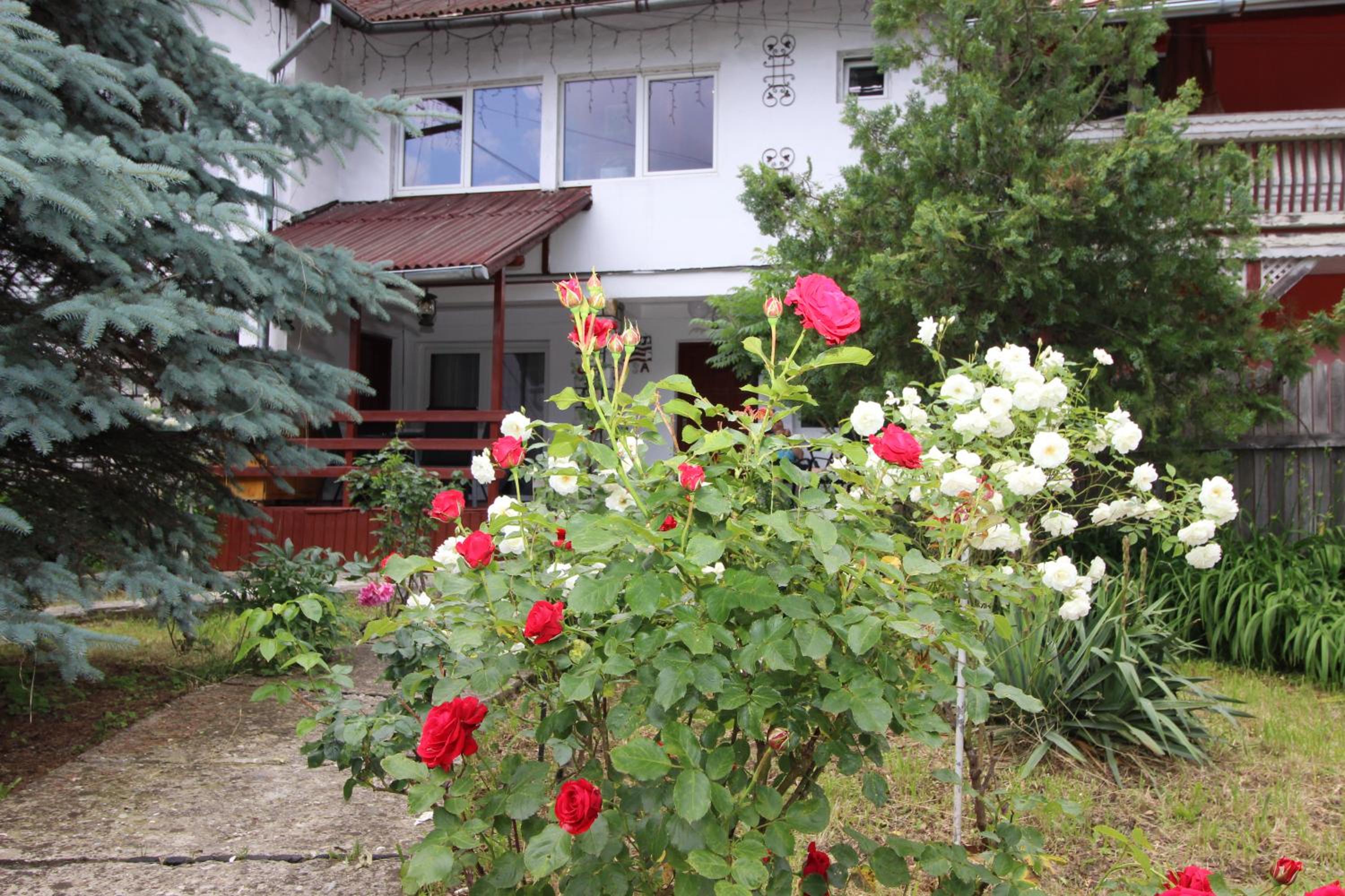 Photo 44