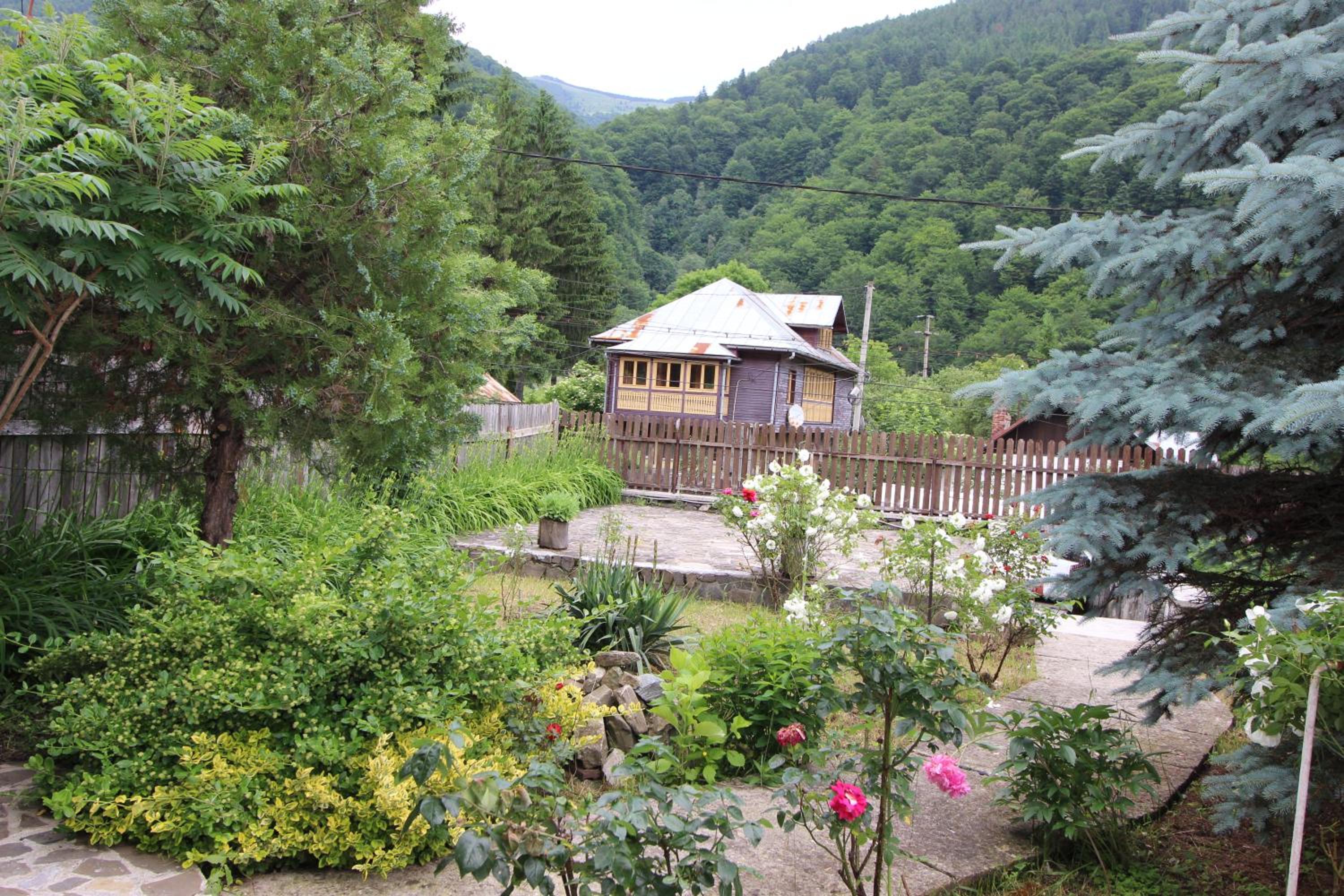 Photo 43