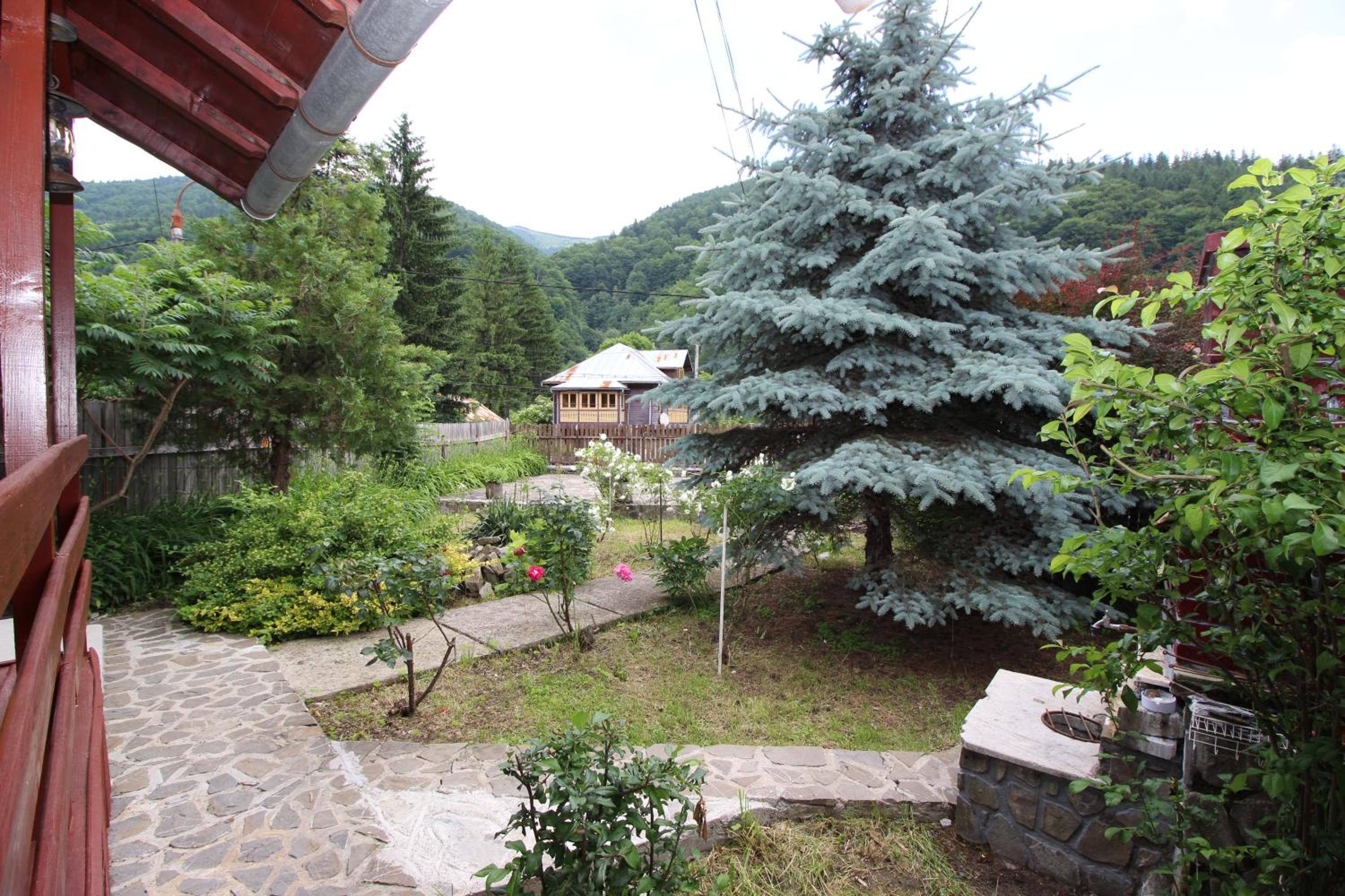 Photo 42