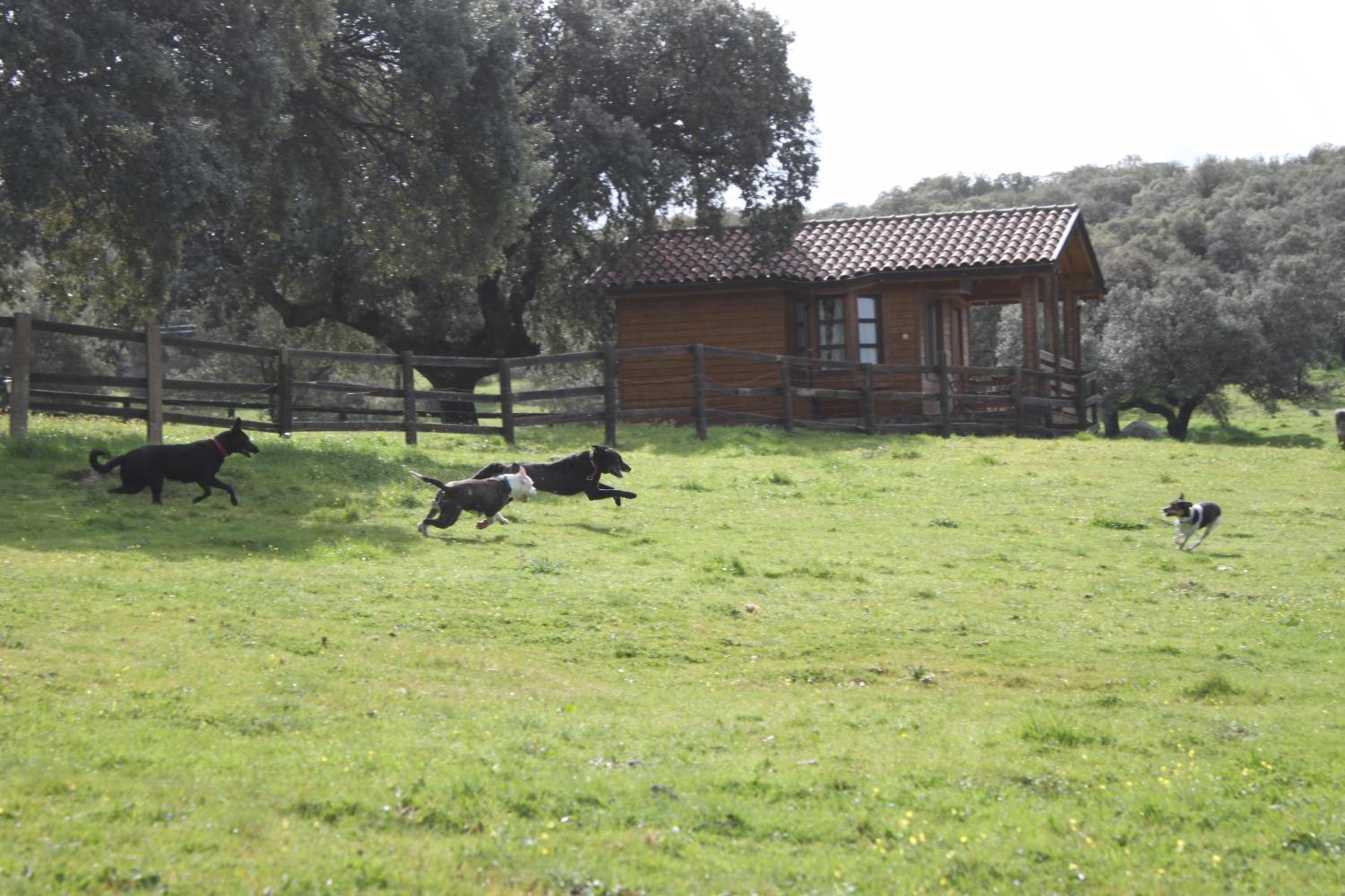 Complejo Rural Los Jarales view 2