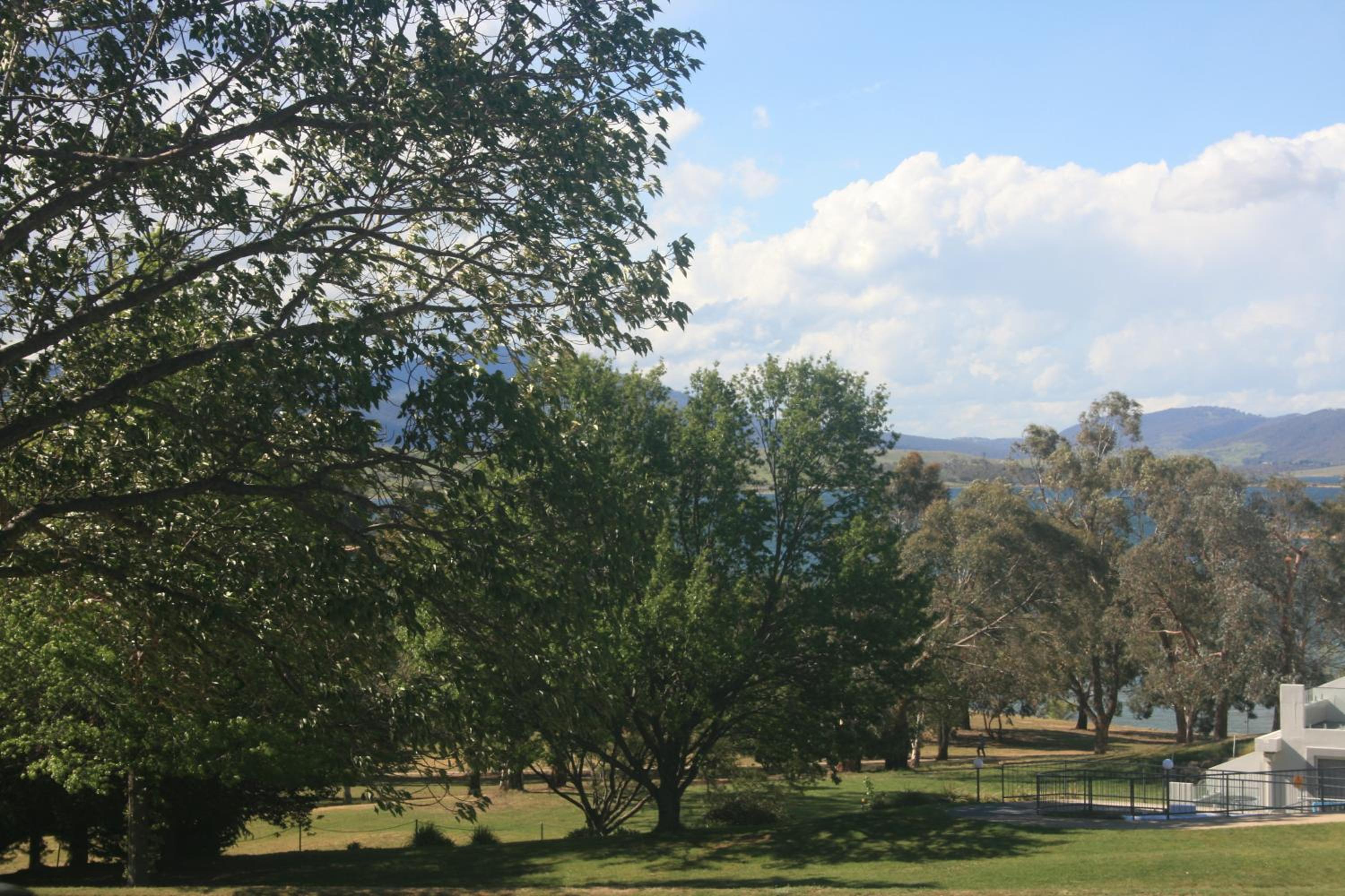 Jindy Inn