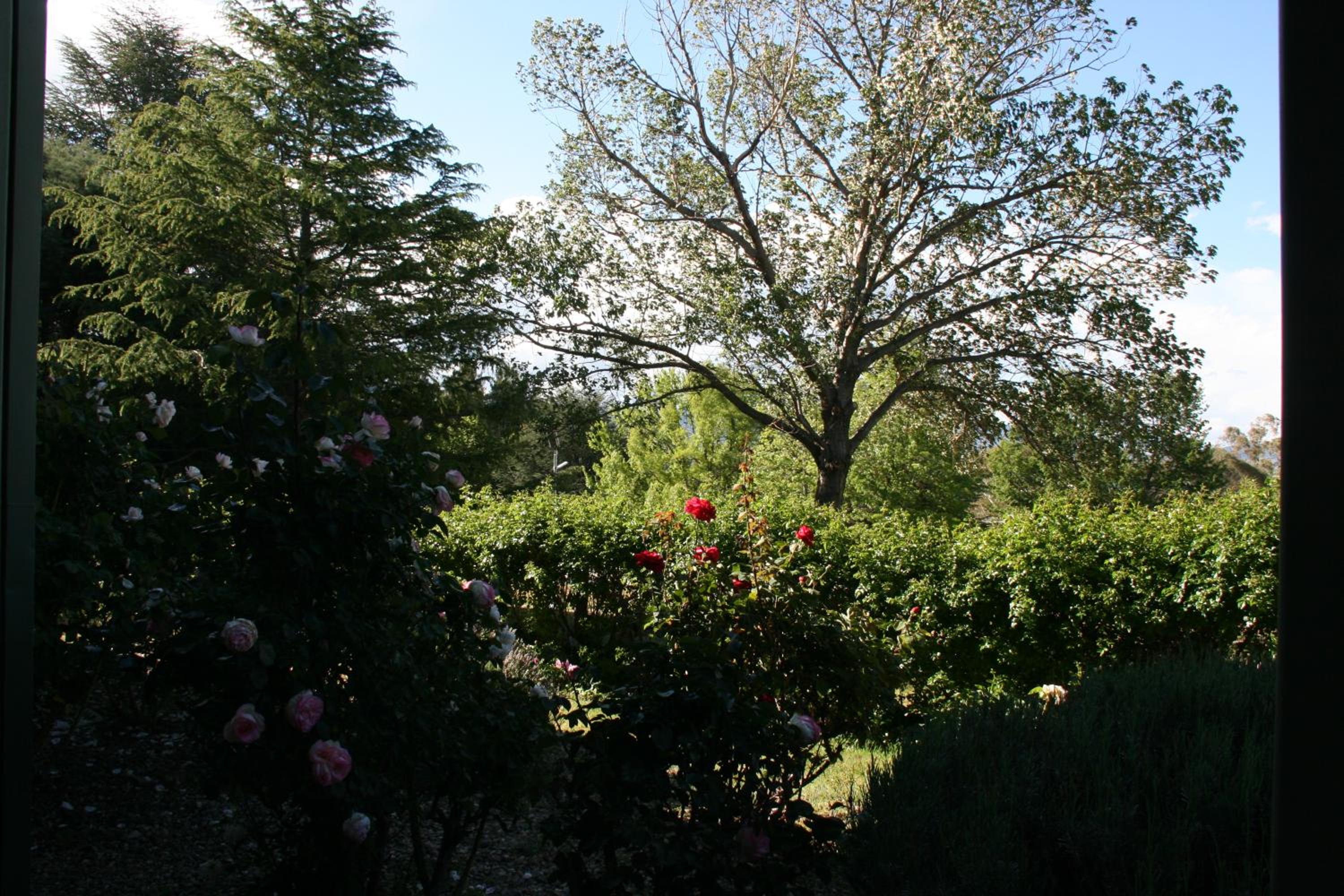 Jindy Inn