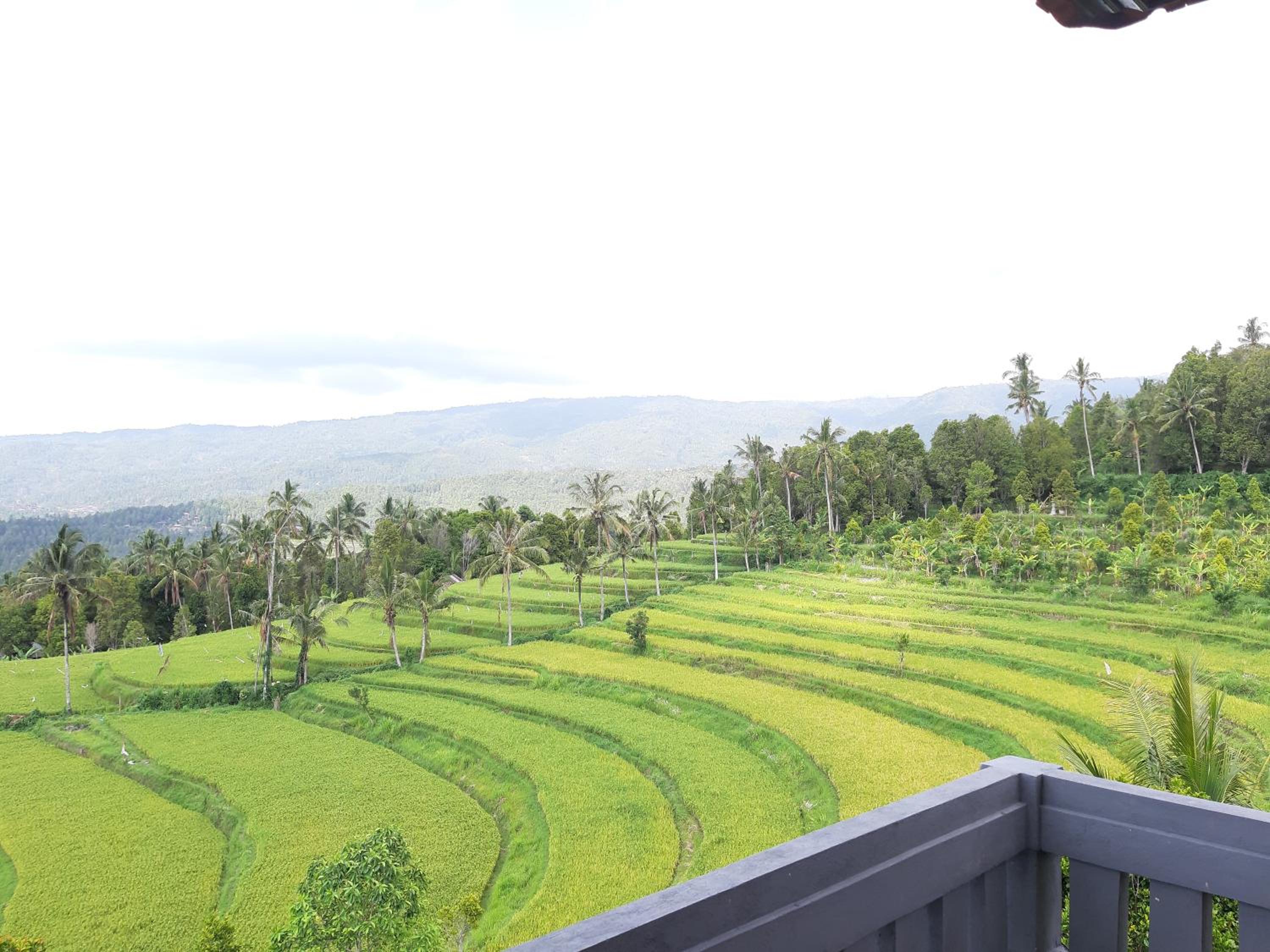 Candra Cottage