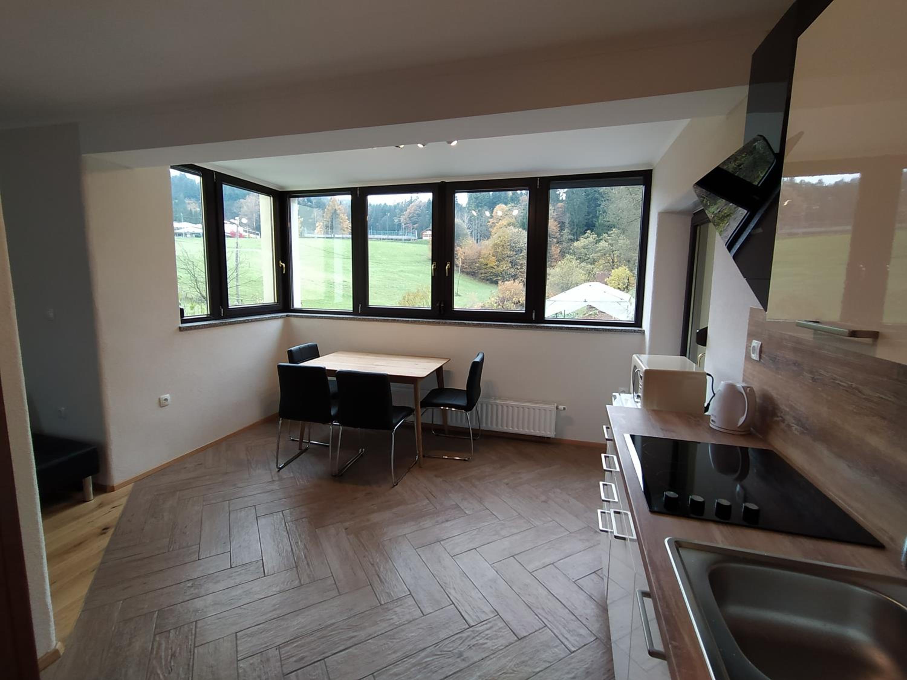Apartmaji Maln view 4