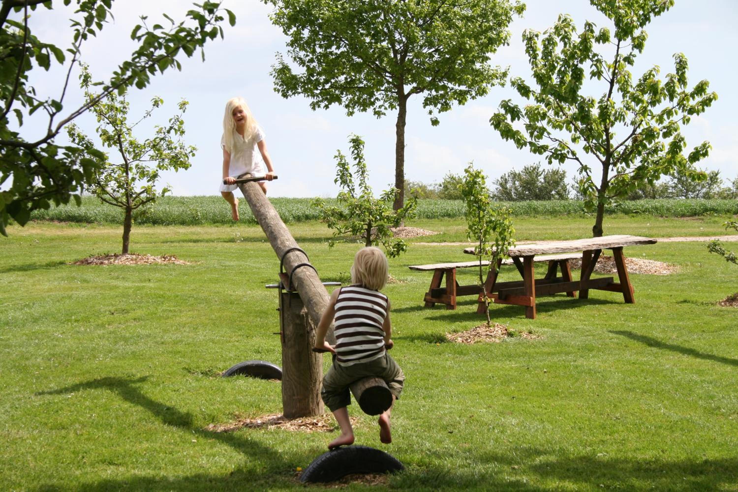 Photo 24