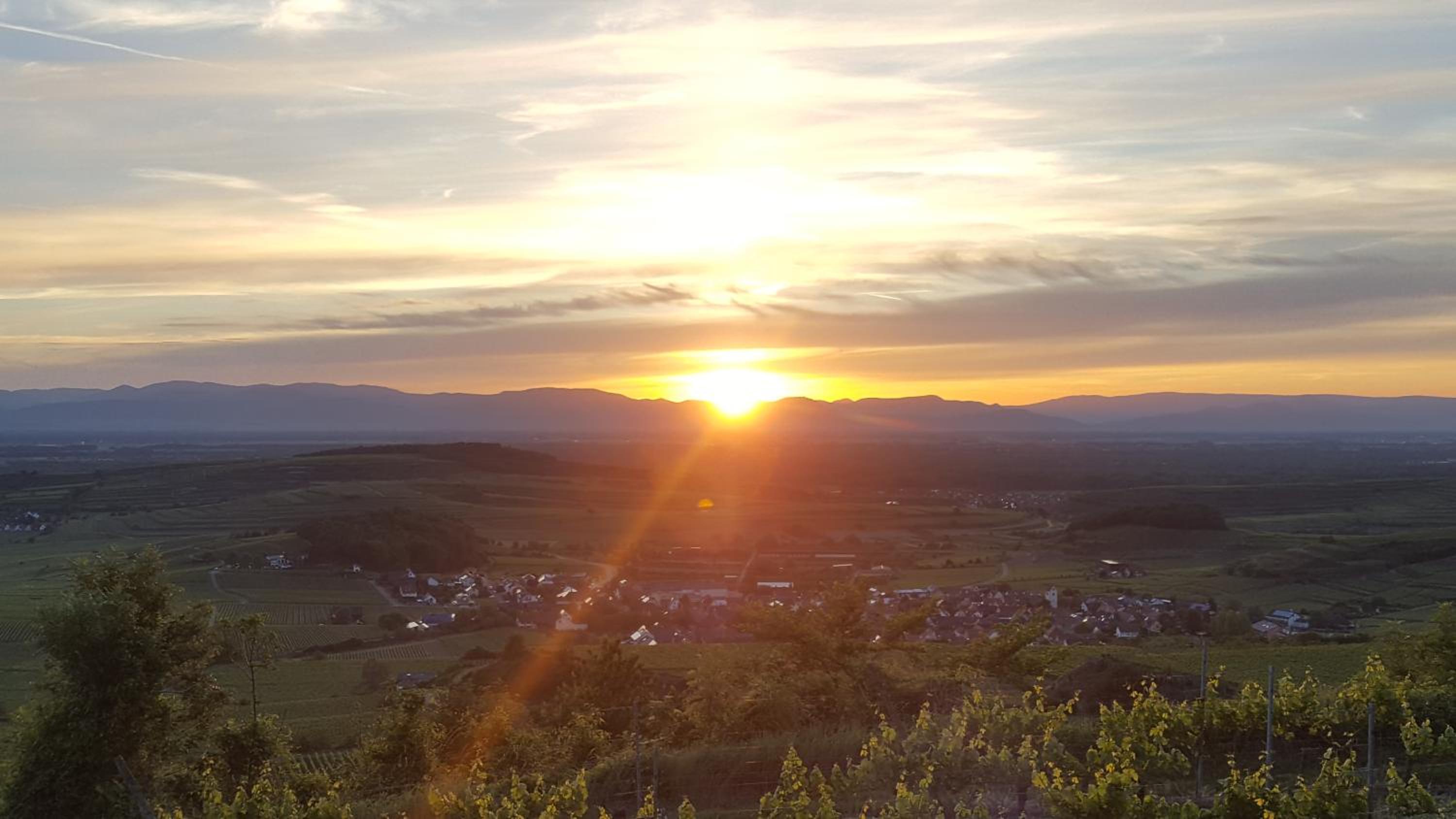 Gästehaus Casa Luna - Paradiesische Ferienwohnungen am Kaiserstuhl!