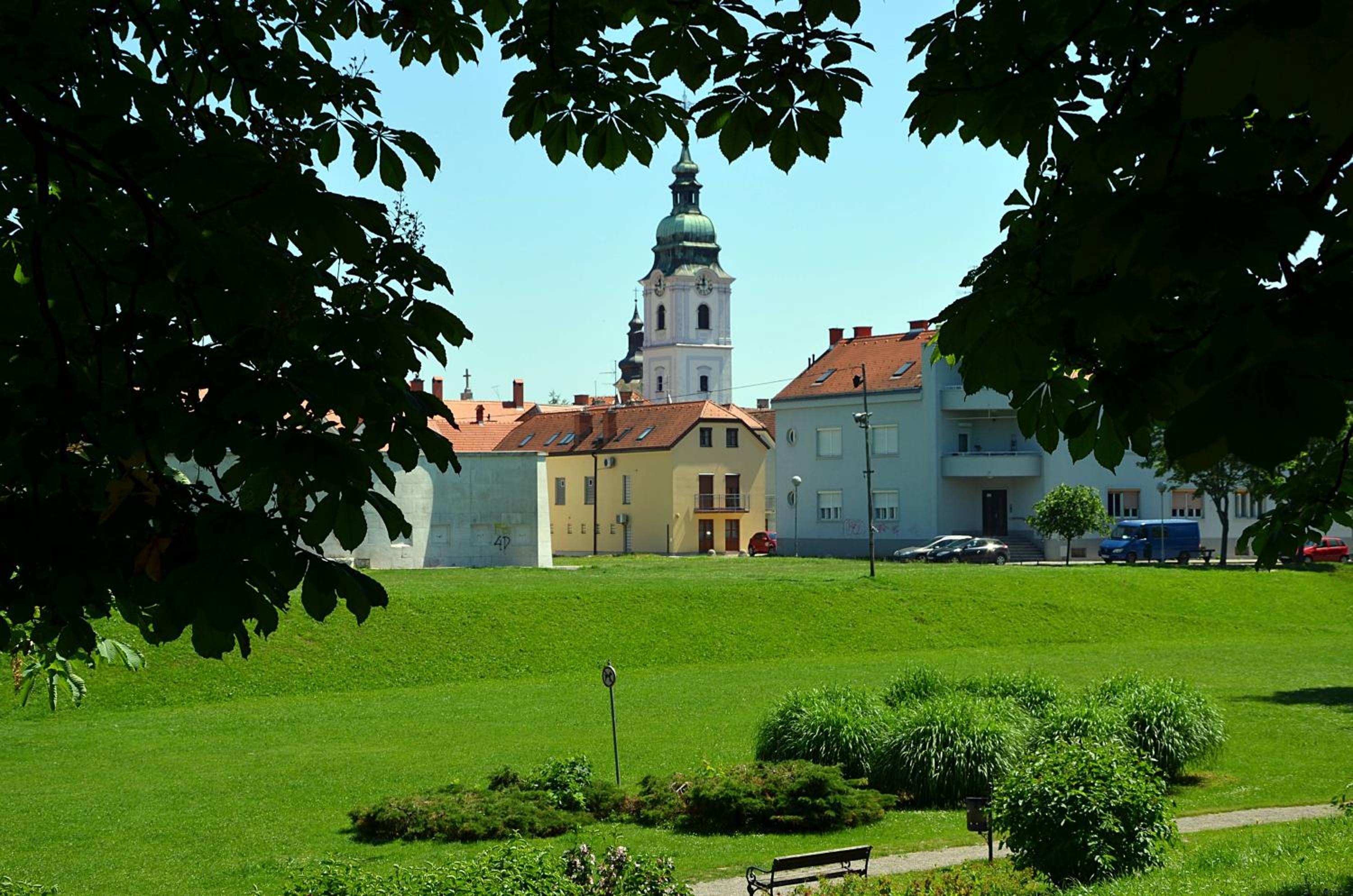 Photo 12