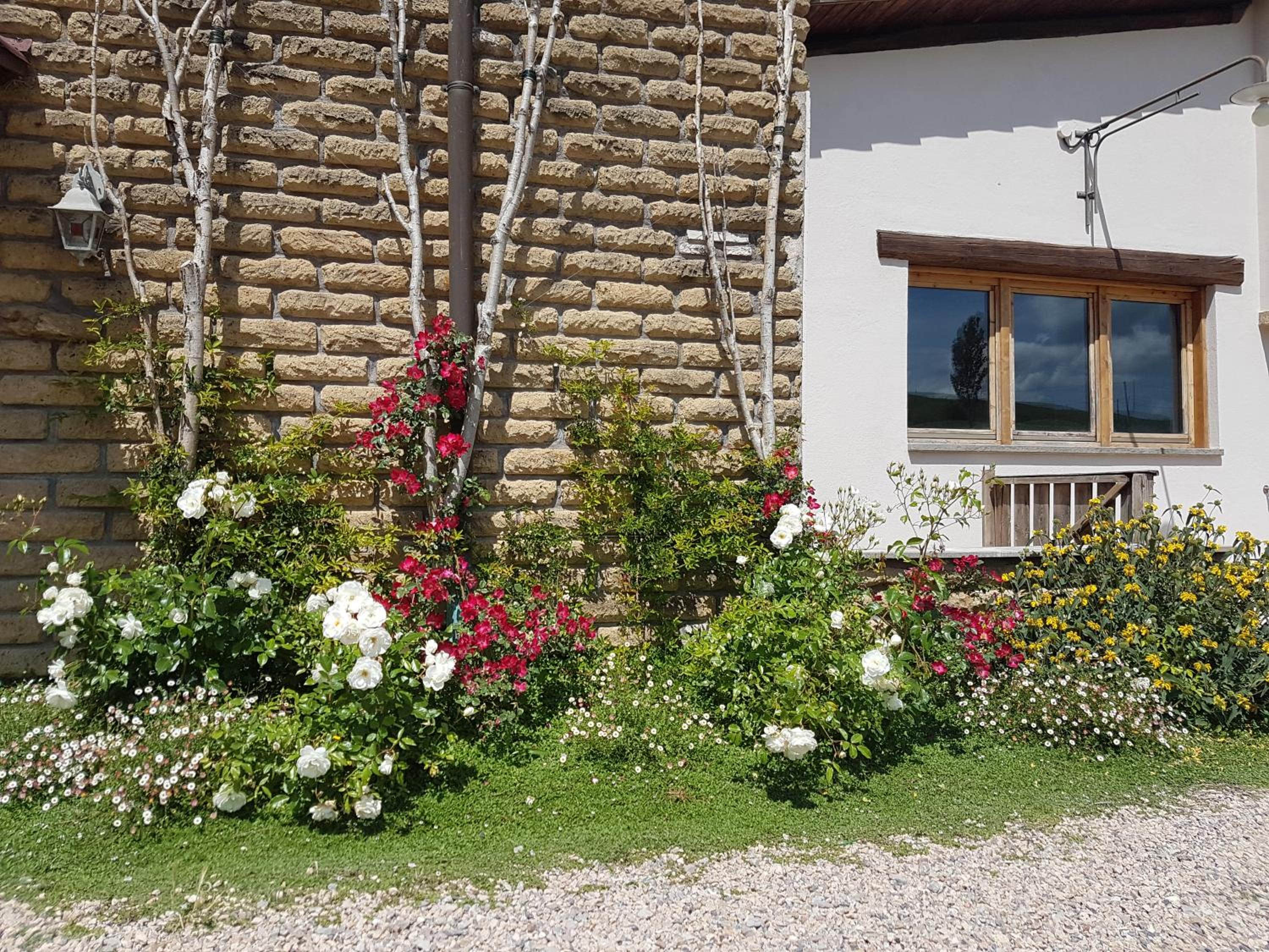 Agriturismo Podere Farnesiana view 3