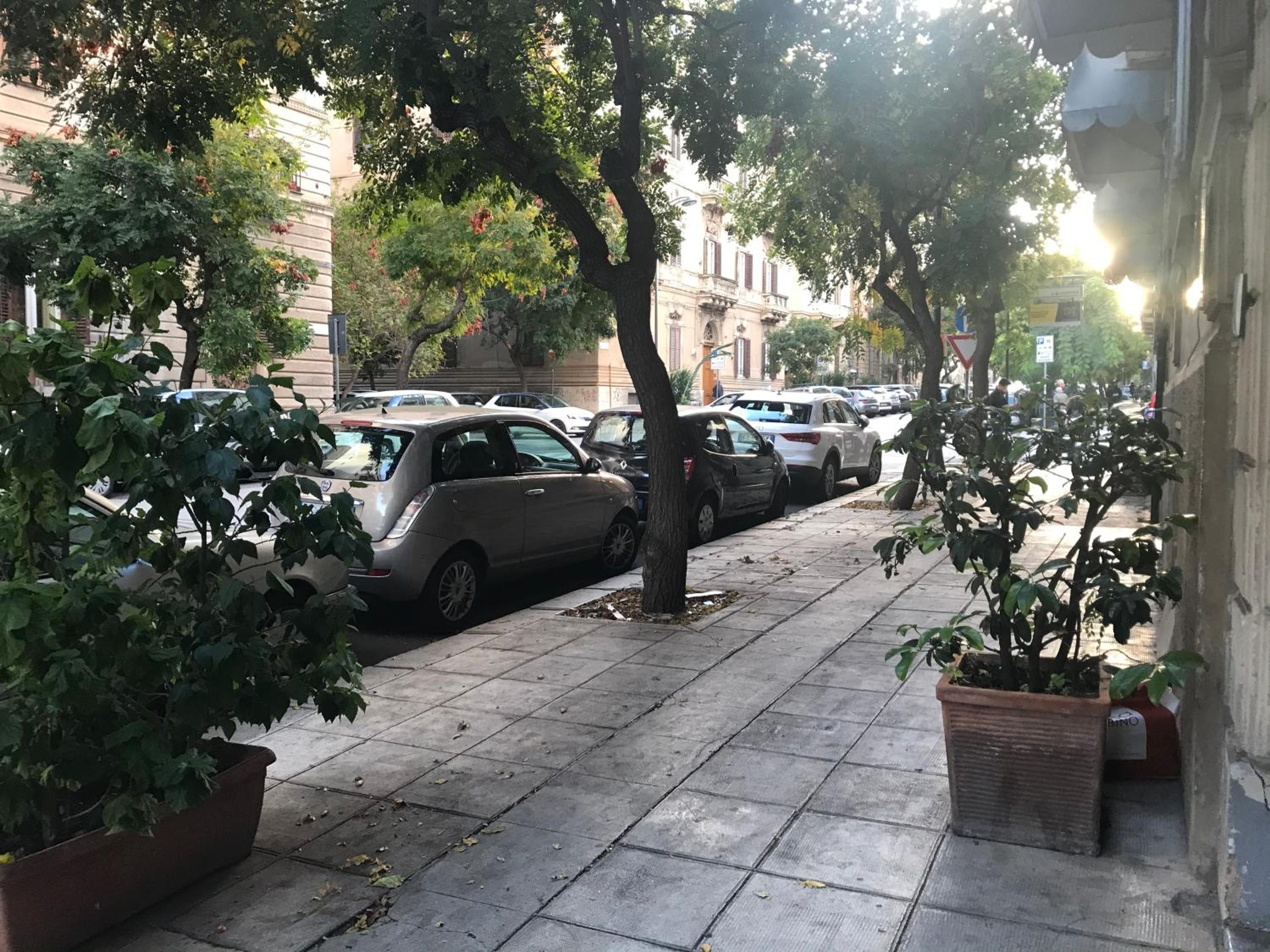 parking