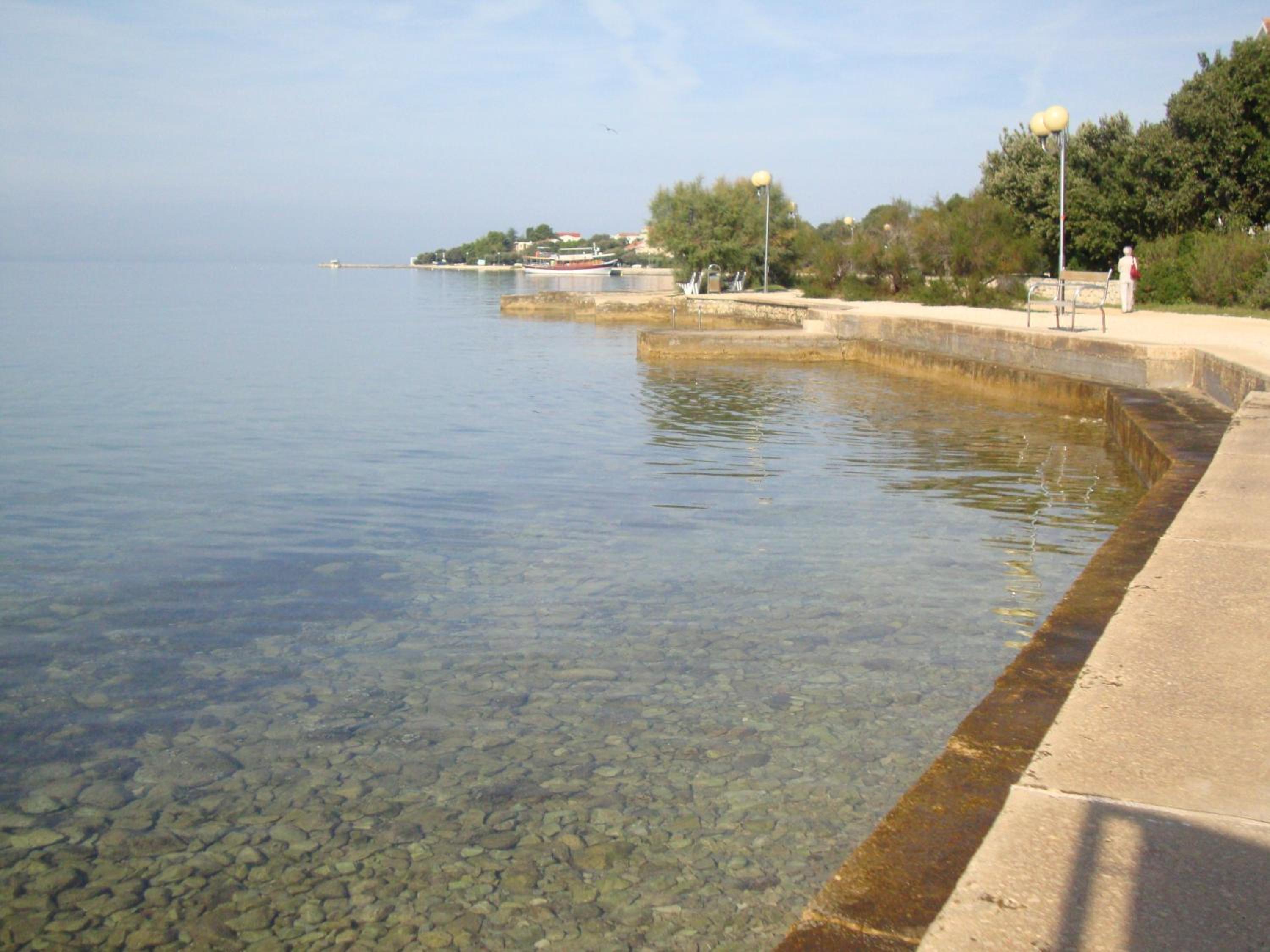 Photo 49