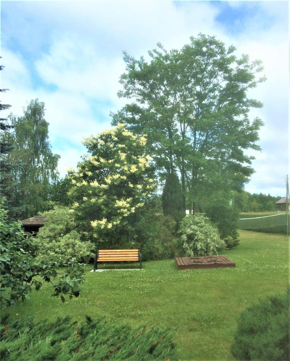 The Green House view 4