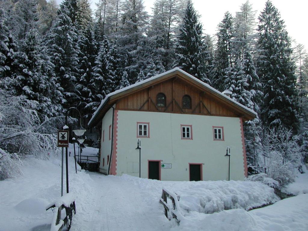 Photo 41