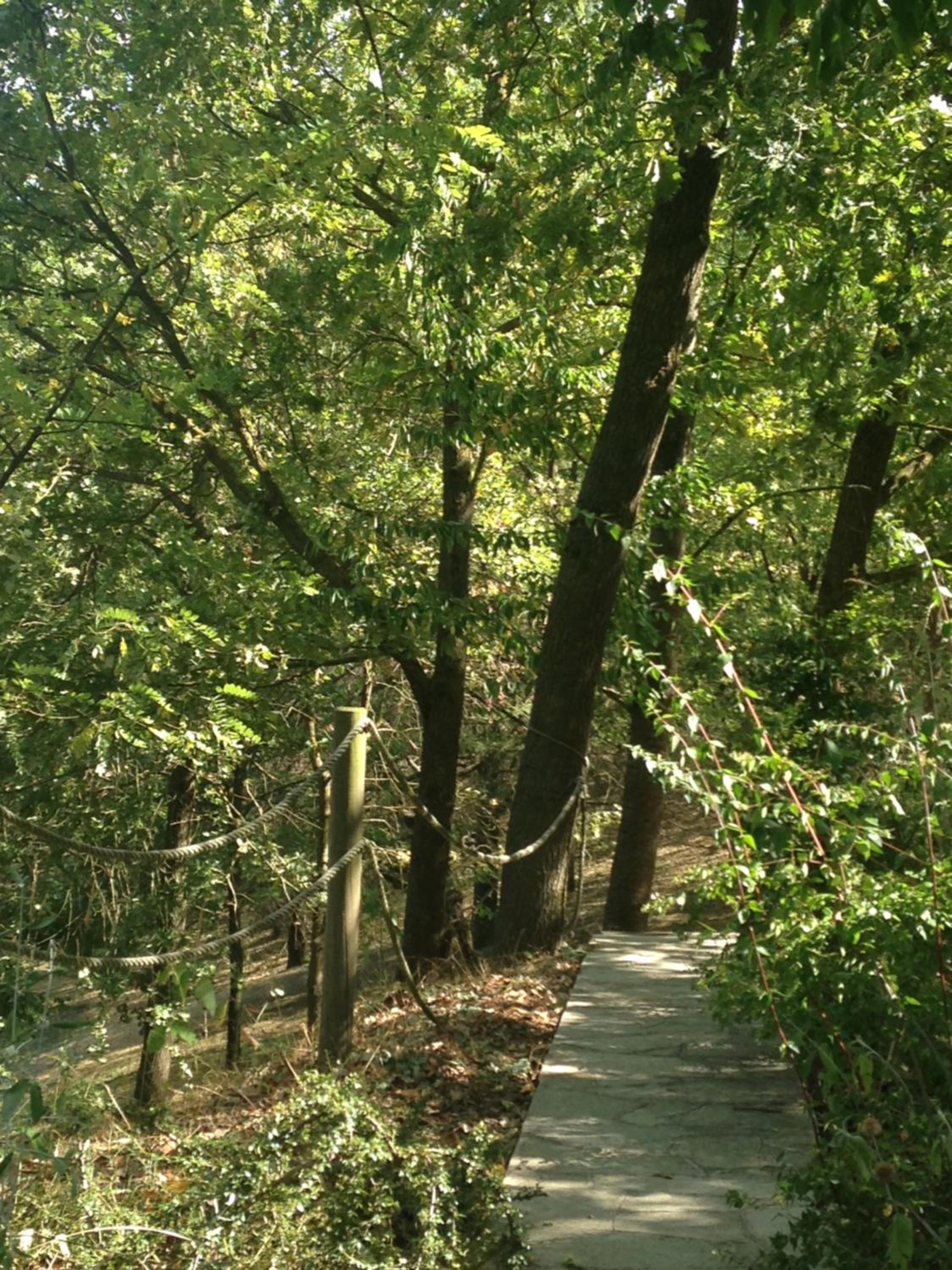 Tenuta Nissole, Foto 4