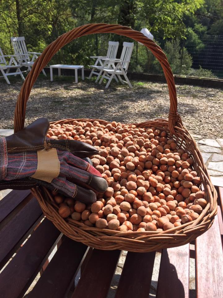 Tenuta Nissole, Foto 14