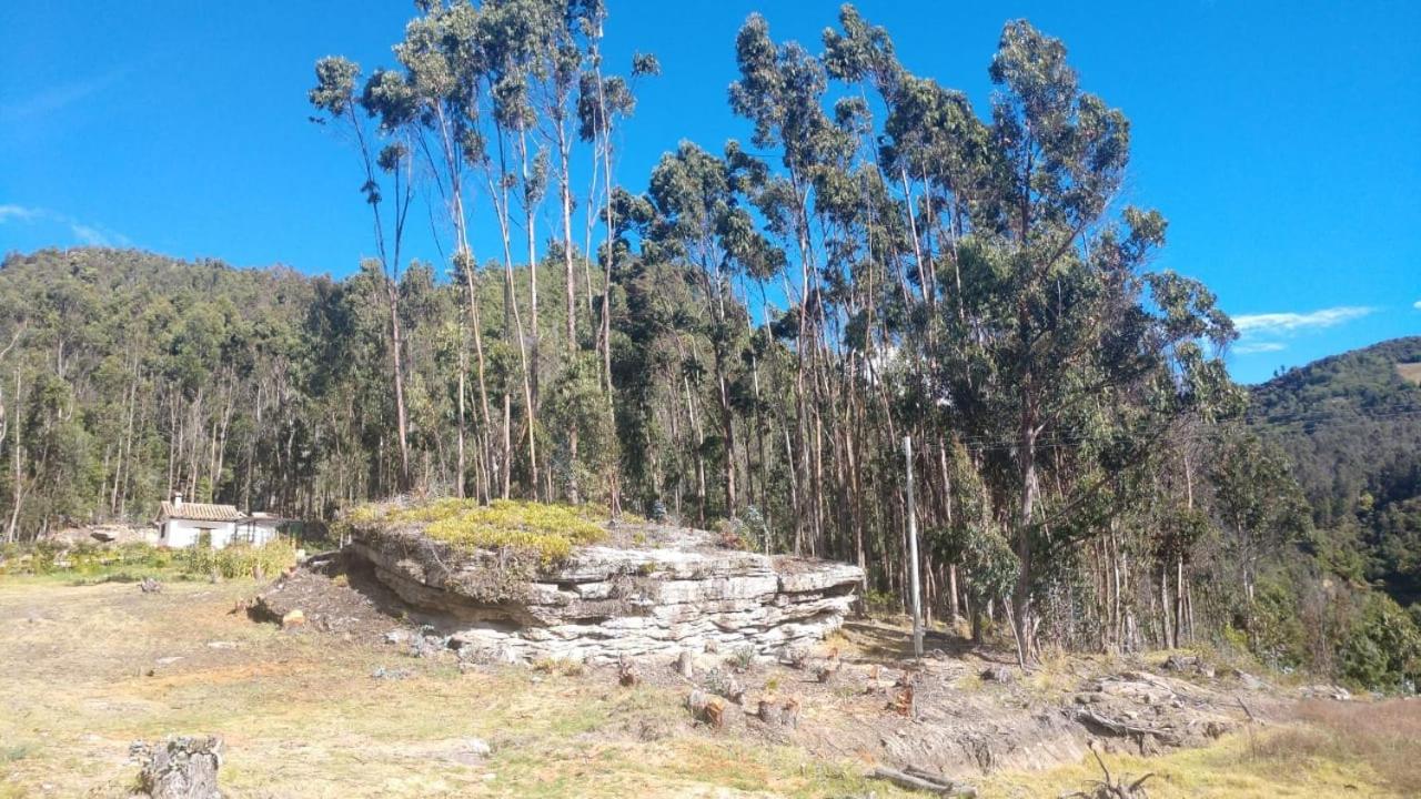 La Casona Cucaita. Sede Campestre