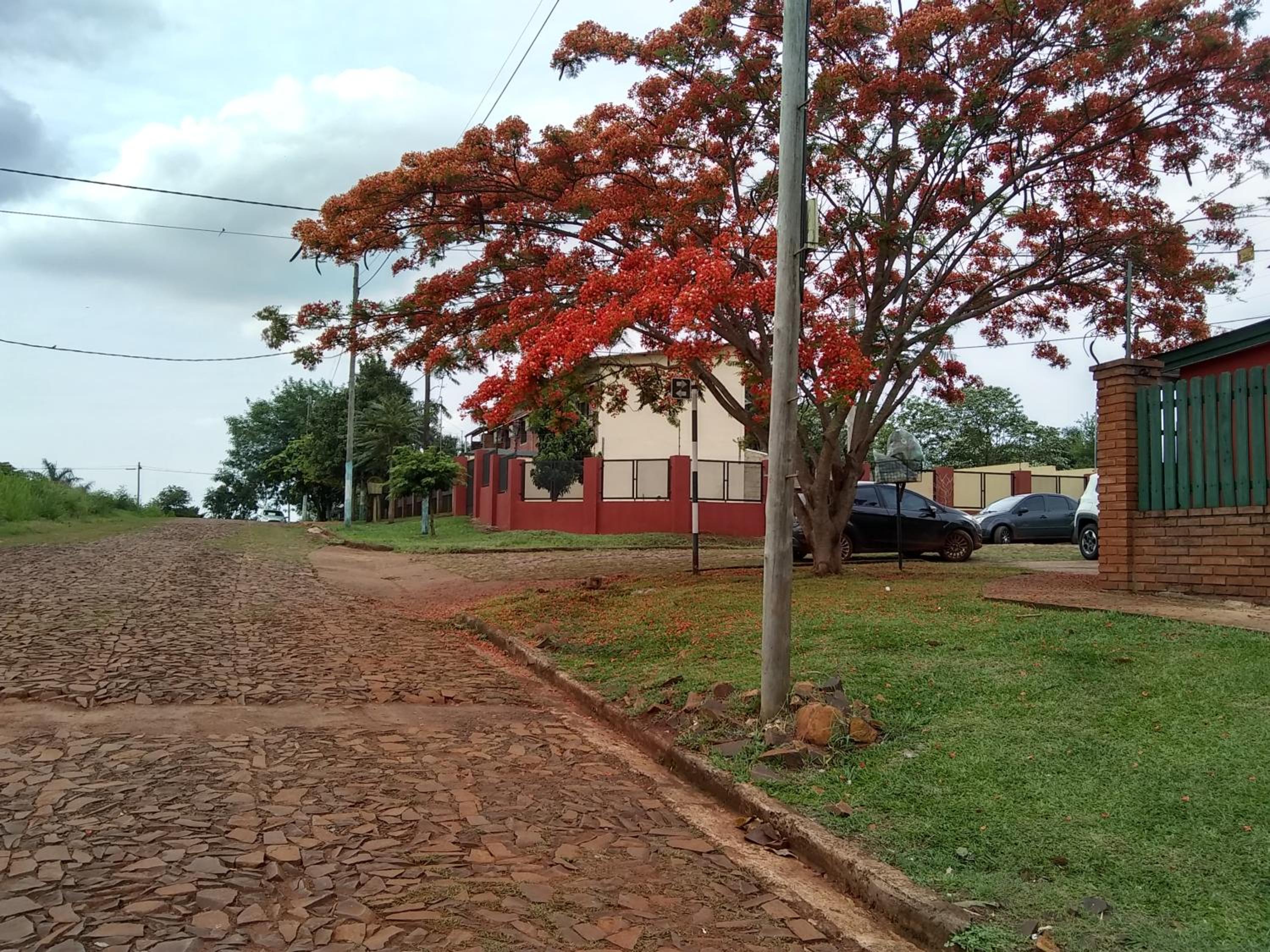 magia del iguazu