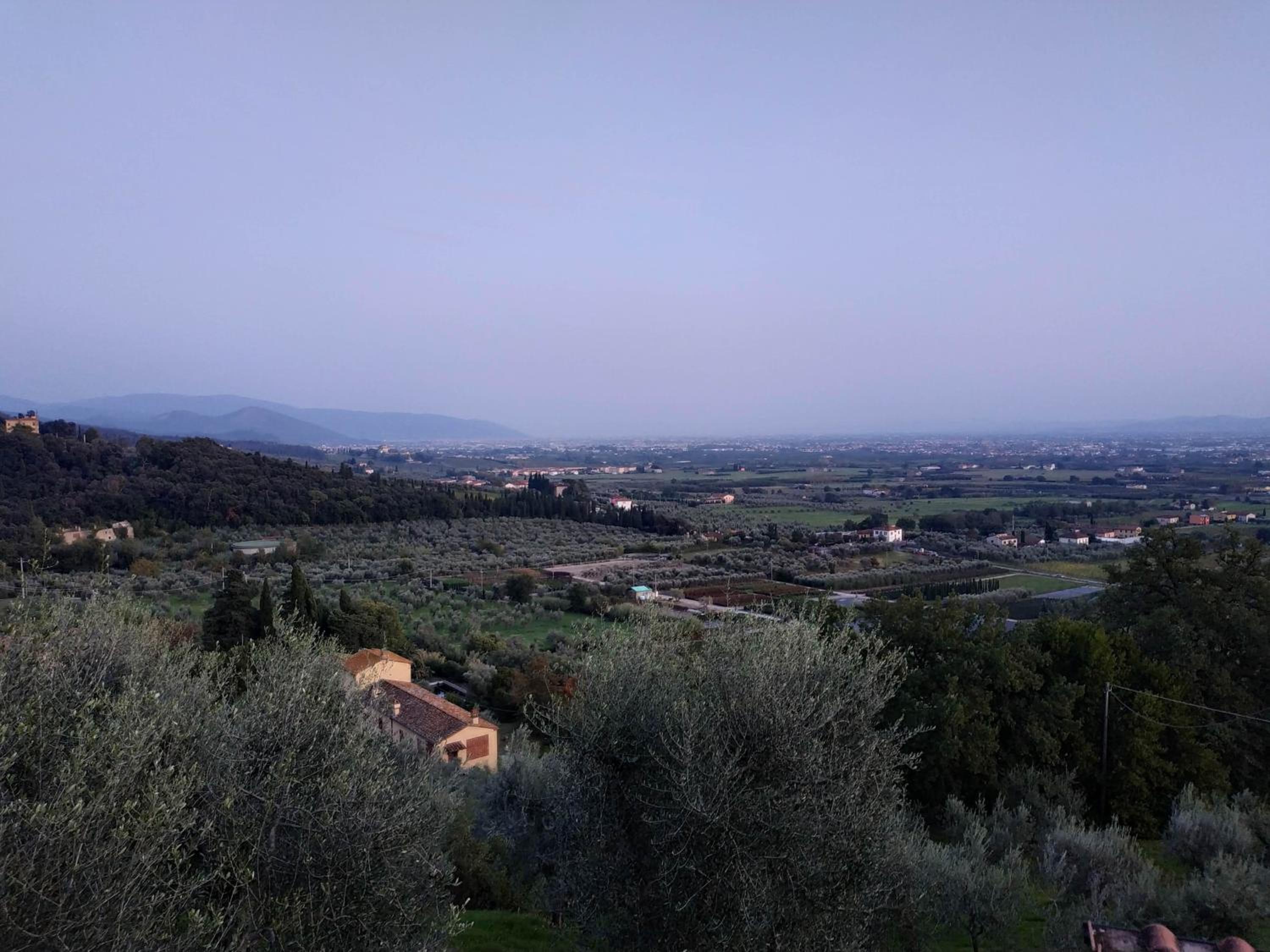 Photo 43