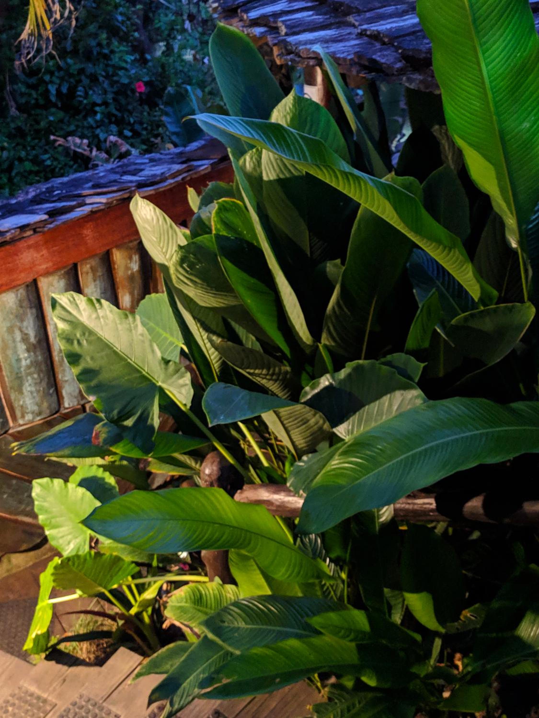 Pousada NATUREZA
