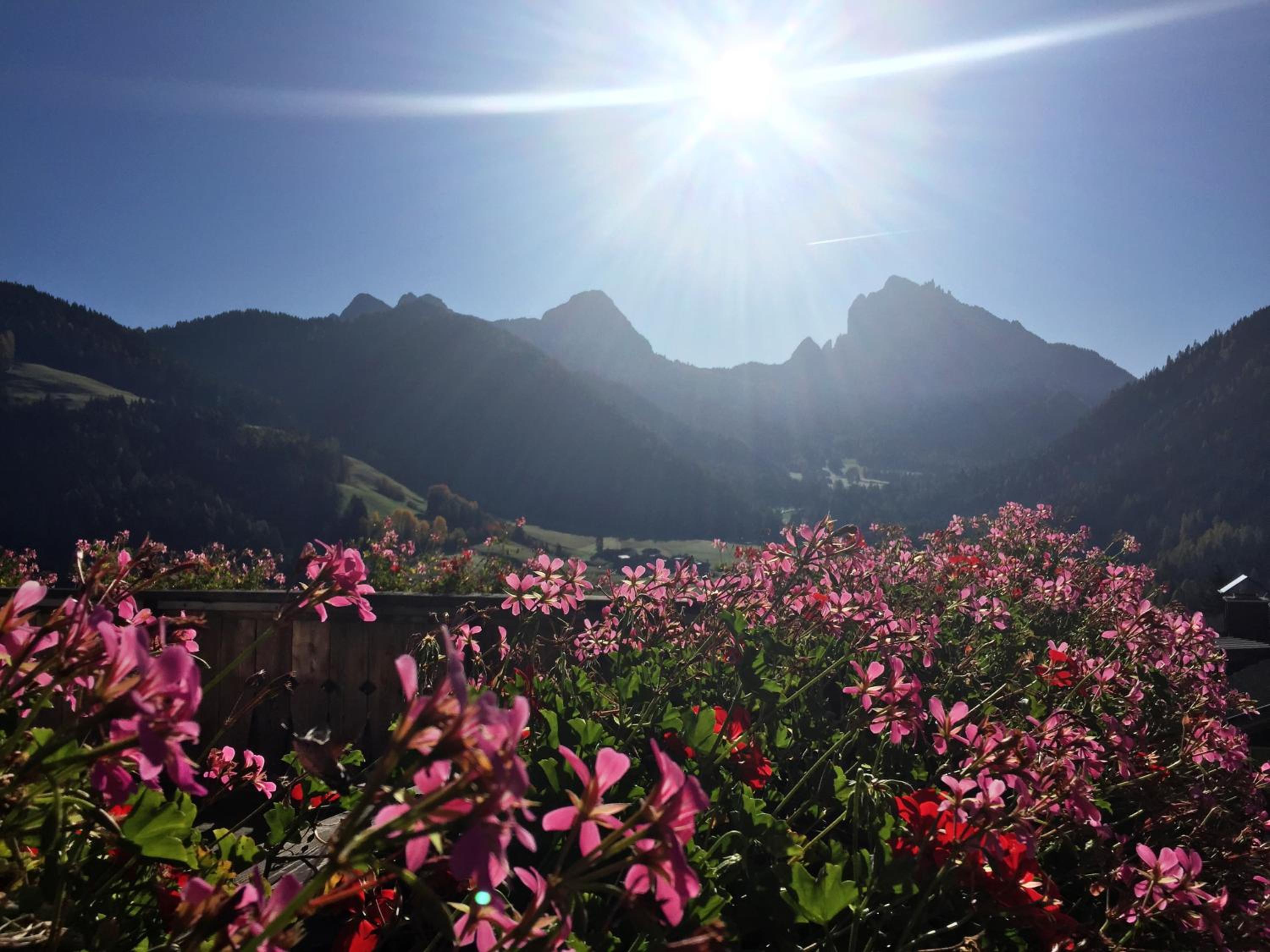 Hanslerhof view 5