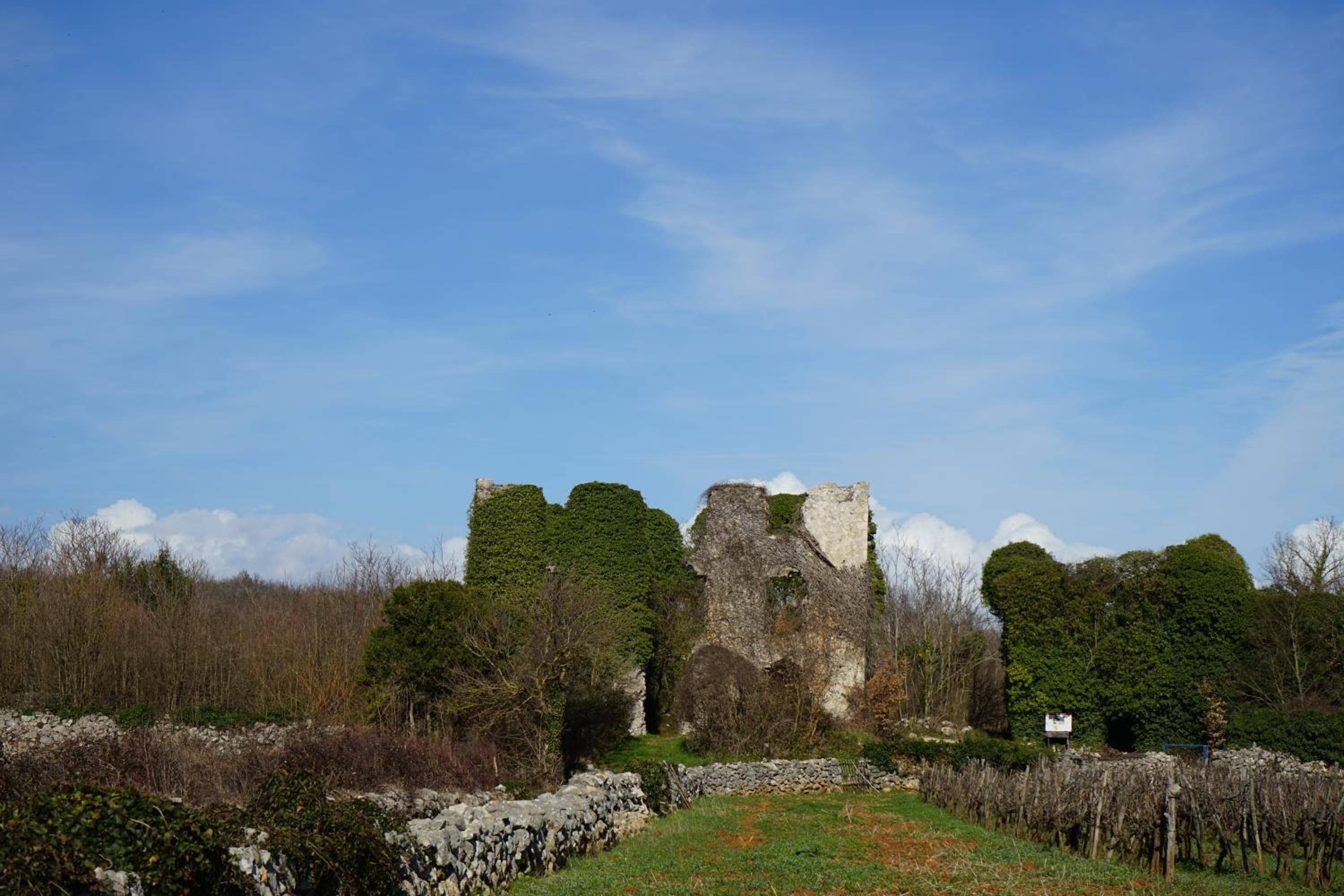 Photo 28