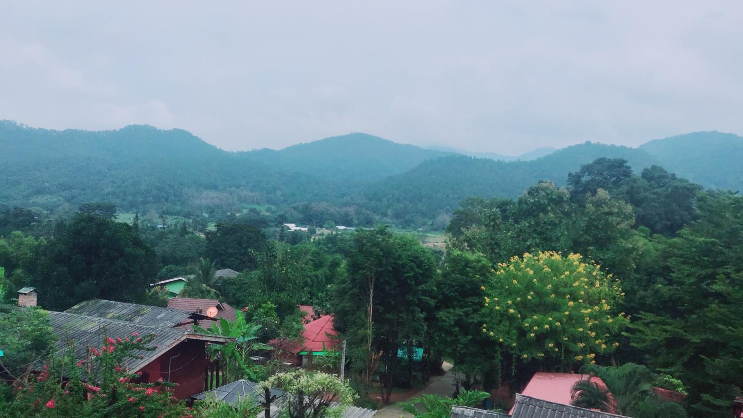 Forest Guesthouse