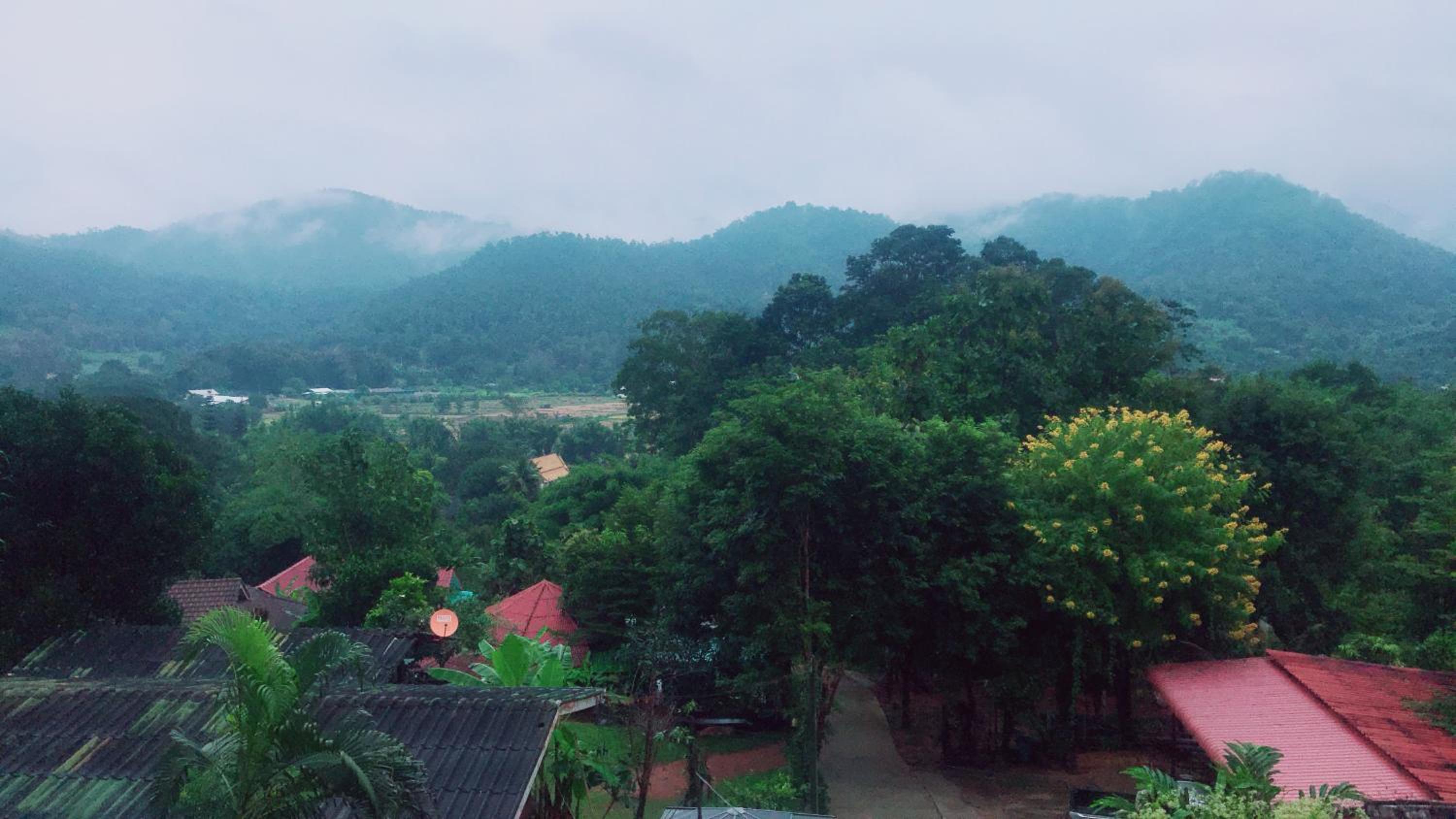 Forest Guesthouse