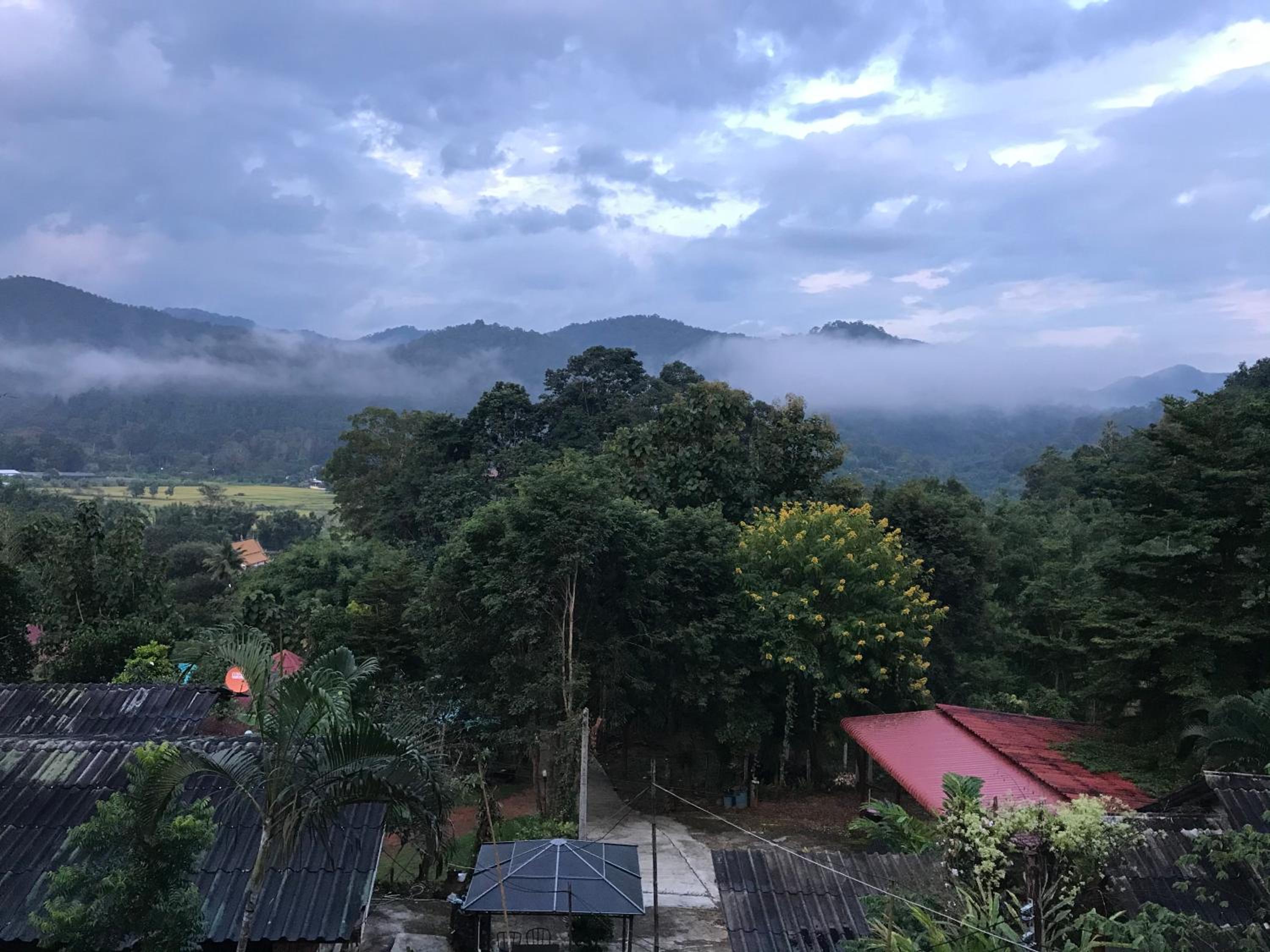 Forest Guesthouse