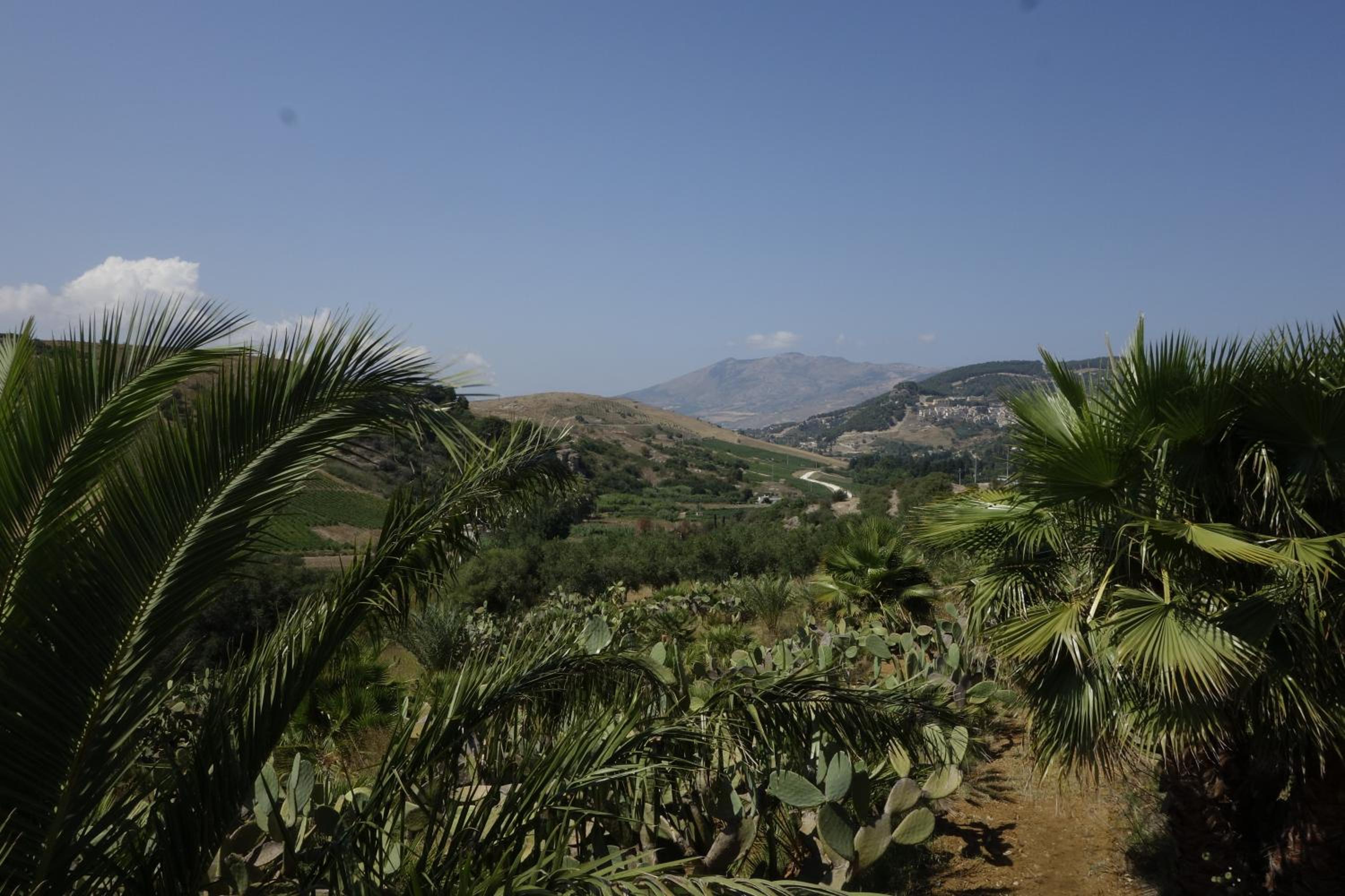 Egesta, villa with private pool view 3