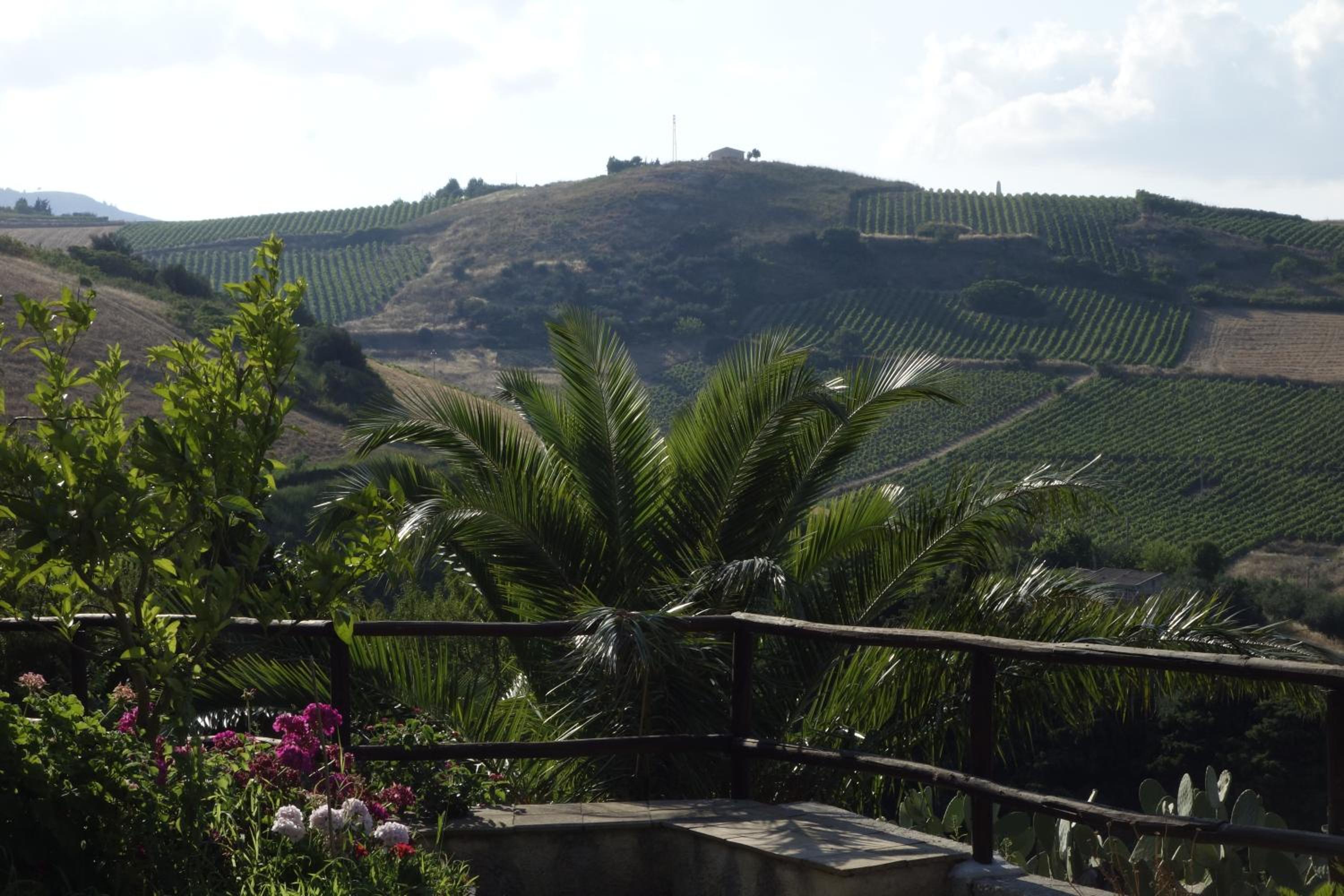 Egesta, villa with private pool view 4