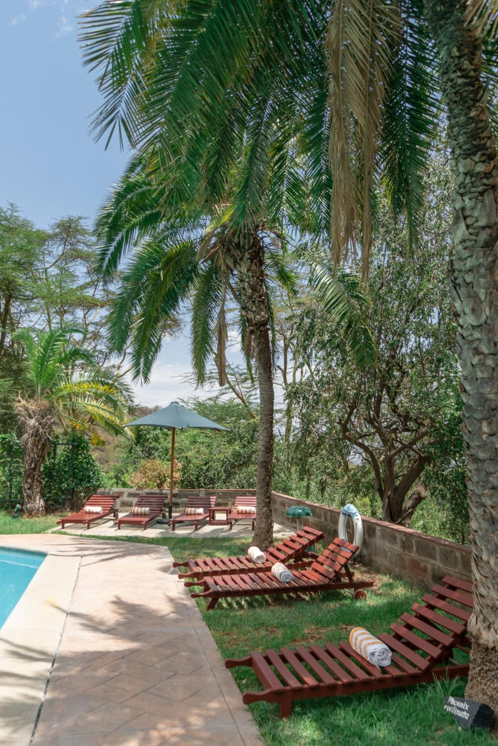 Sarova Lion Hill Game Lodge, photo 50