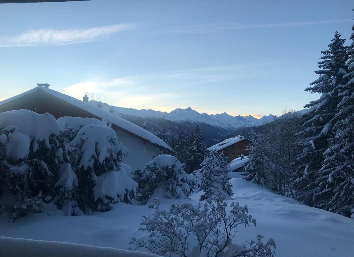 My cozy escape view 3